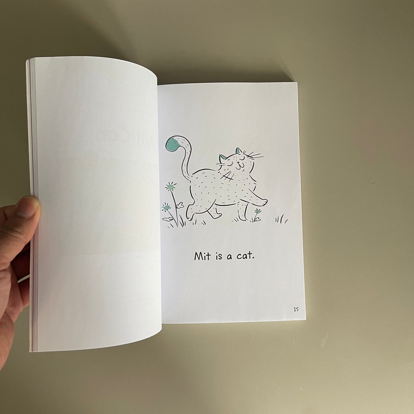 BOB Books - Stories for Early Readers (12 Decodable Stories)