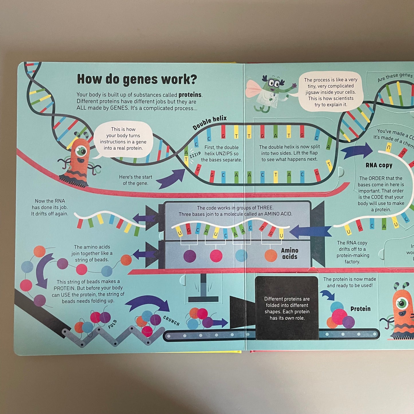 [Brand New] Usborne Lift-the-flap:  See Inside Genes and DNA