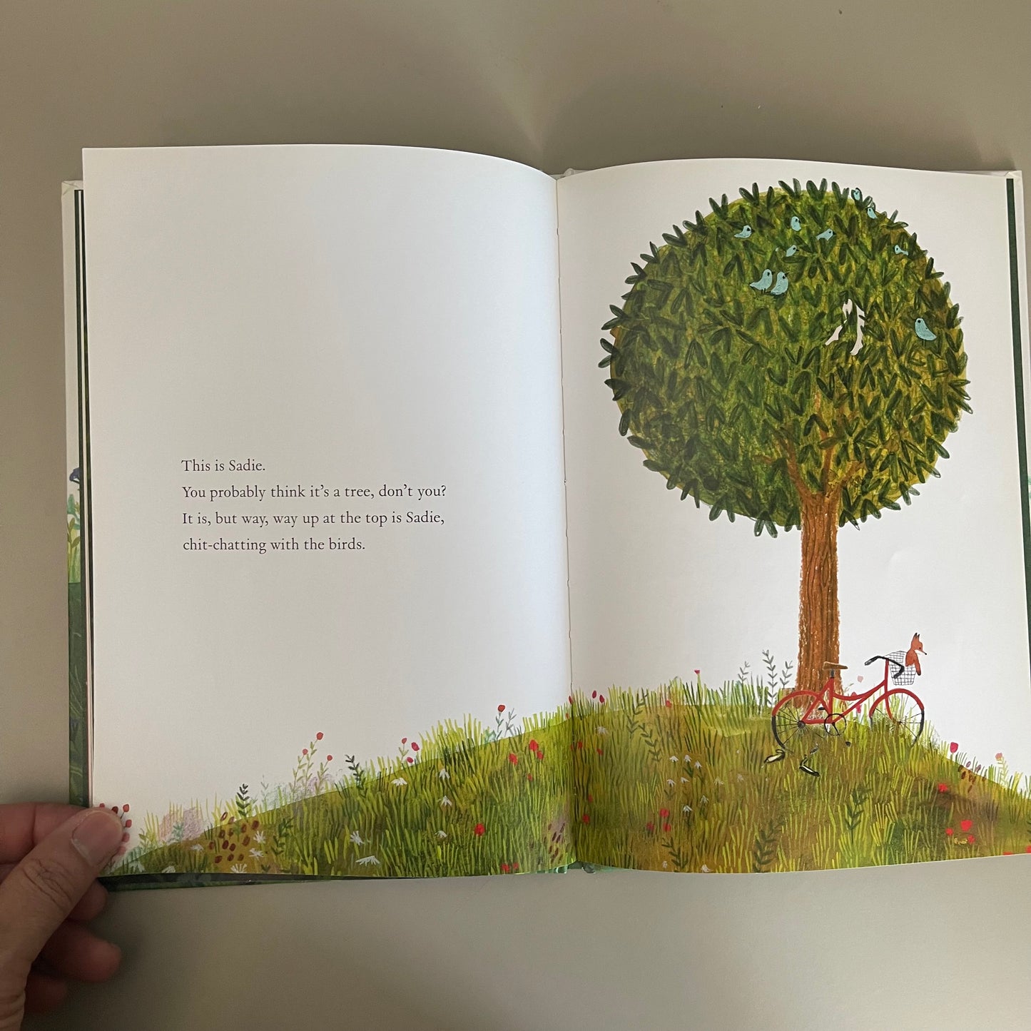 This Is Sadie / Sara O'Leary