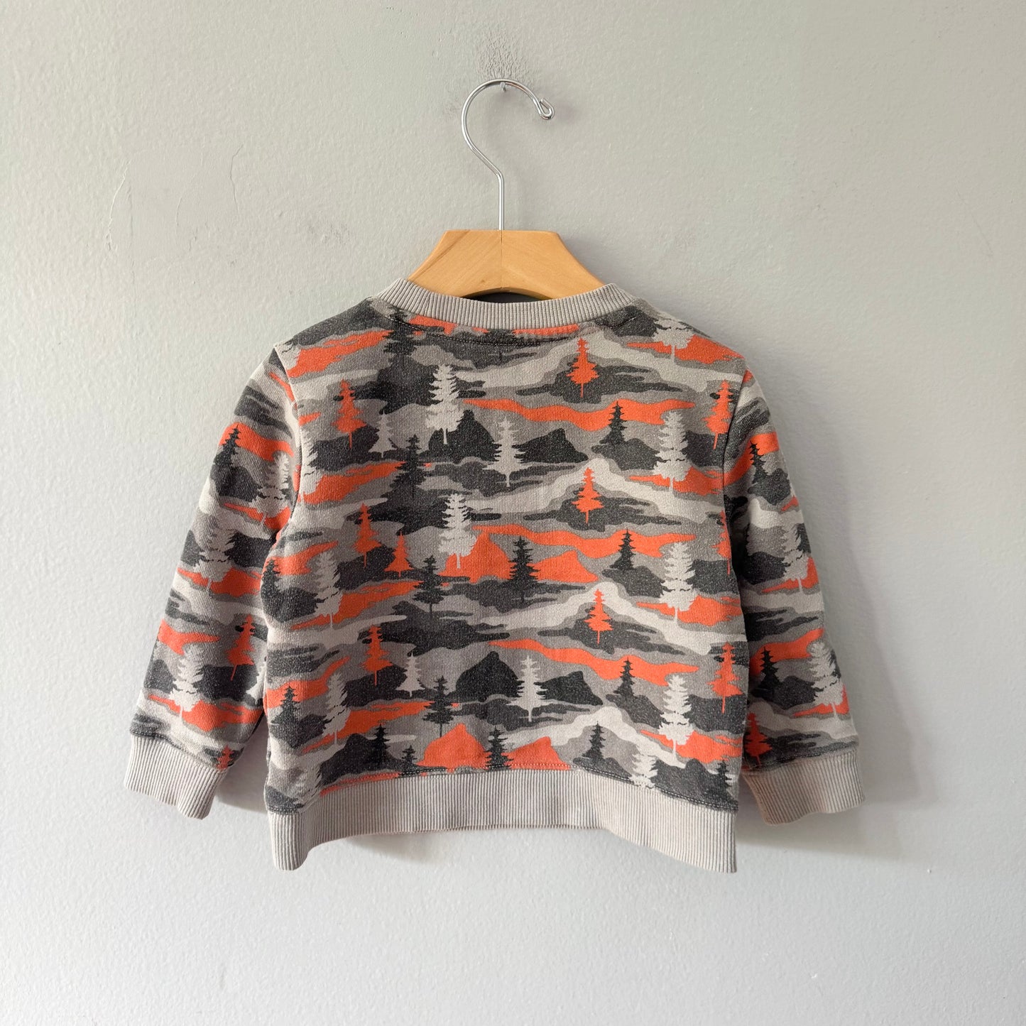 Janie & Jack / Grey x orange sweatshirt / 18-24M