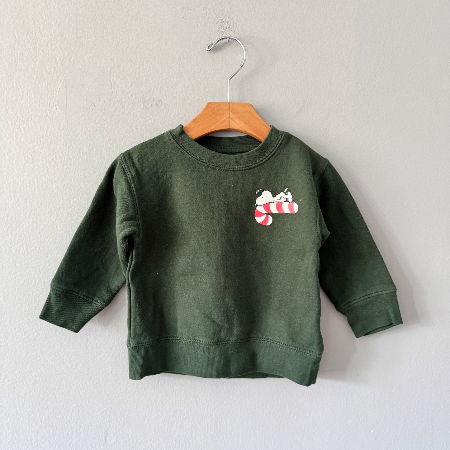 Peanuts / Snoopy green sweatshirt / 18M