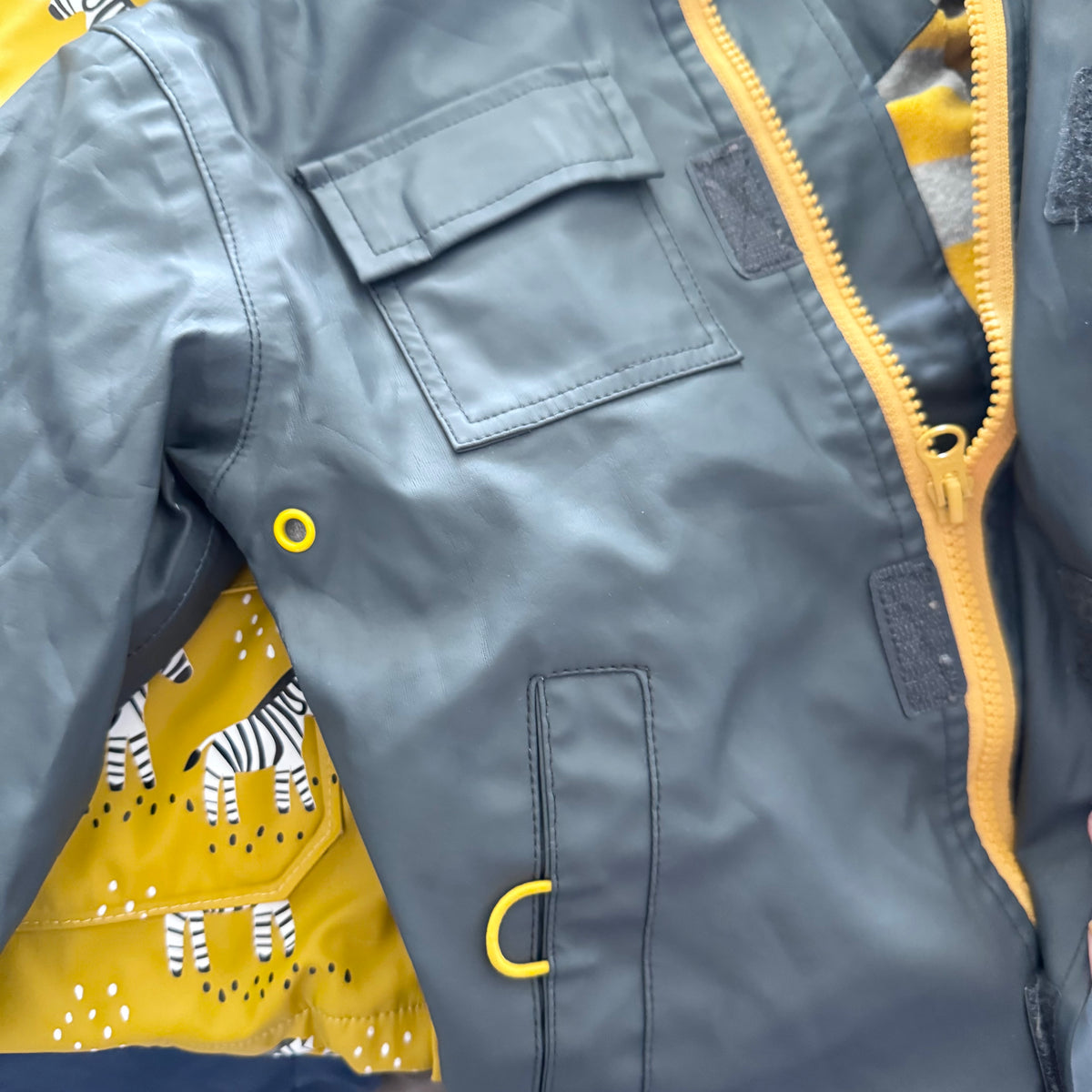 Hatley / Rain jacket / 2Y