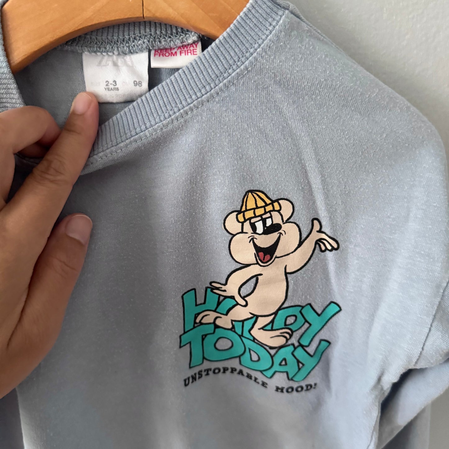 Zara / Light blue long sleeve / 2-3Y
