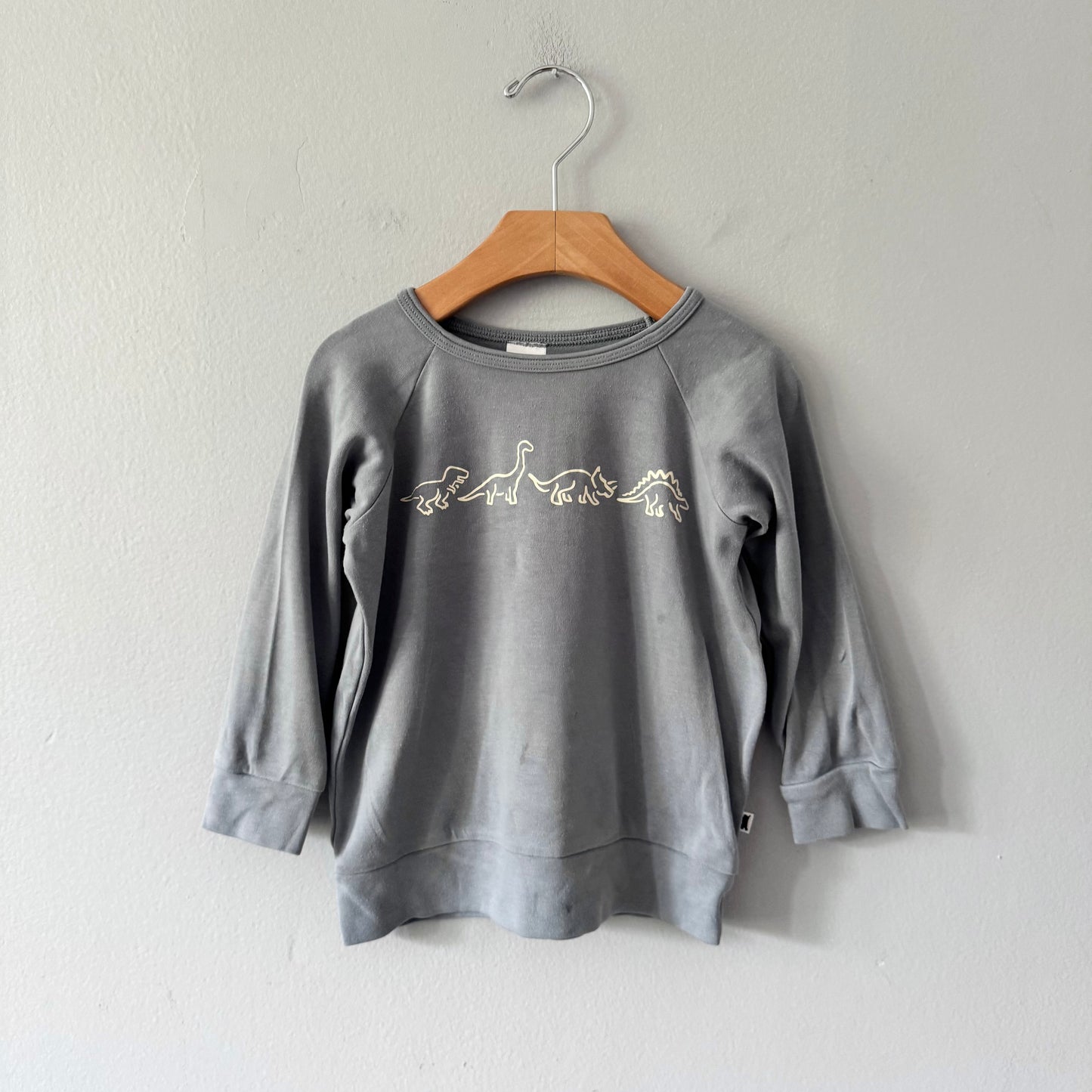 Little & Lively / Grey long sleeve / 3-4Y