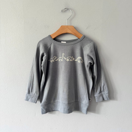Little & Lively / Grey long sleeve / 3-4Y