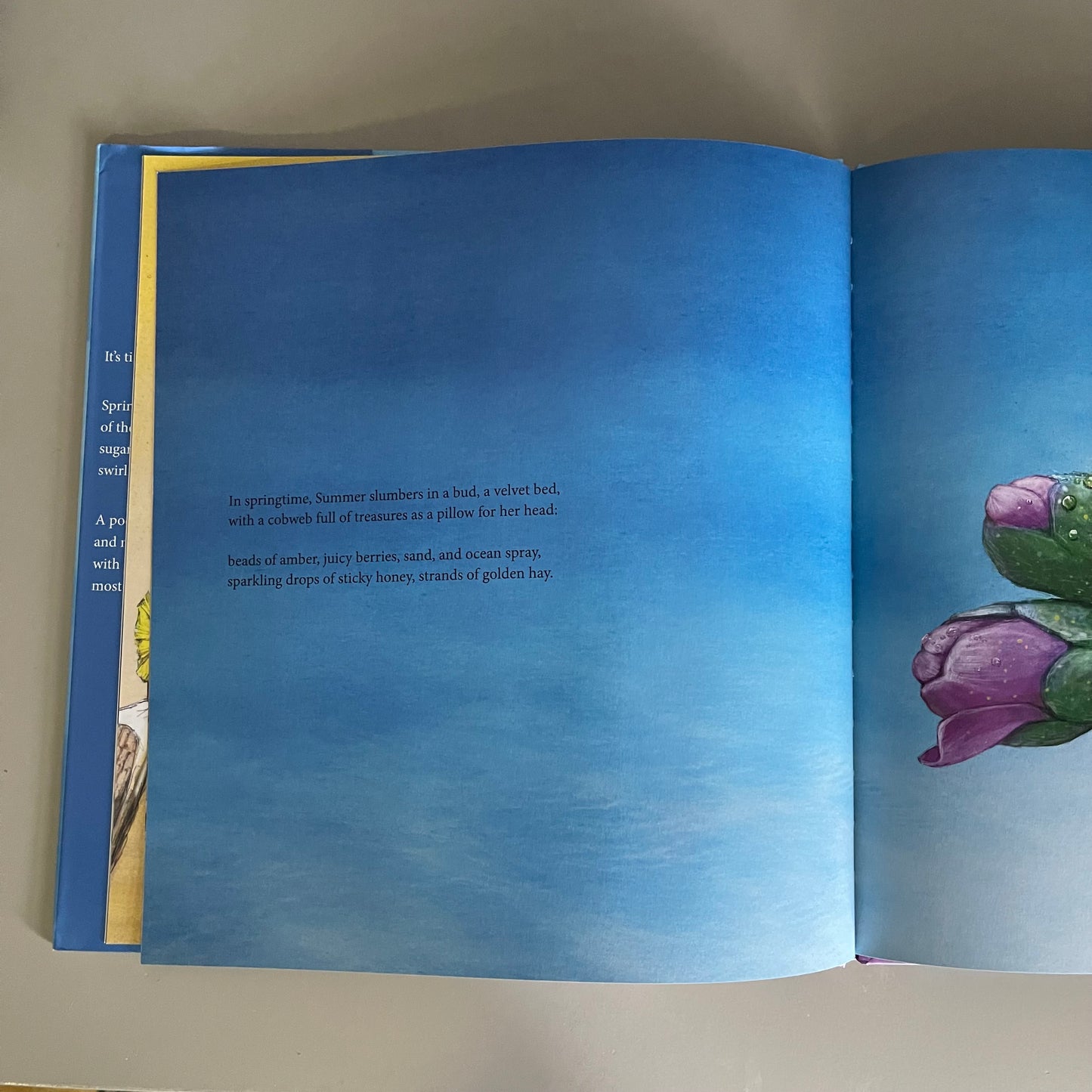 [Brand New] A Dream For Every Season / Megan Turney & Rachel Rankin