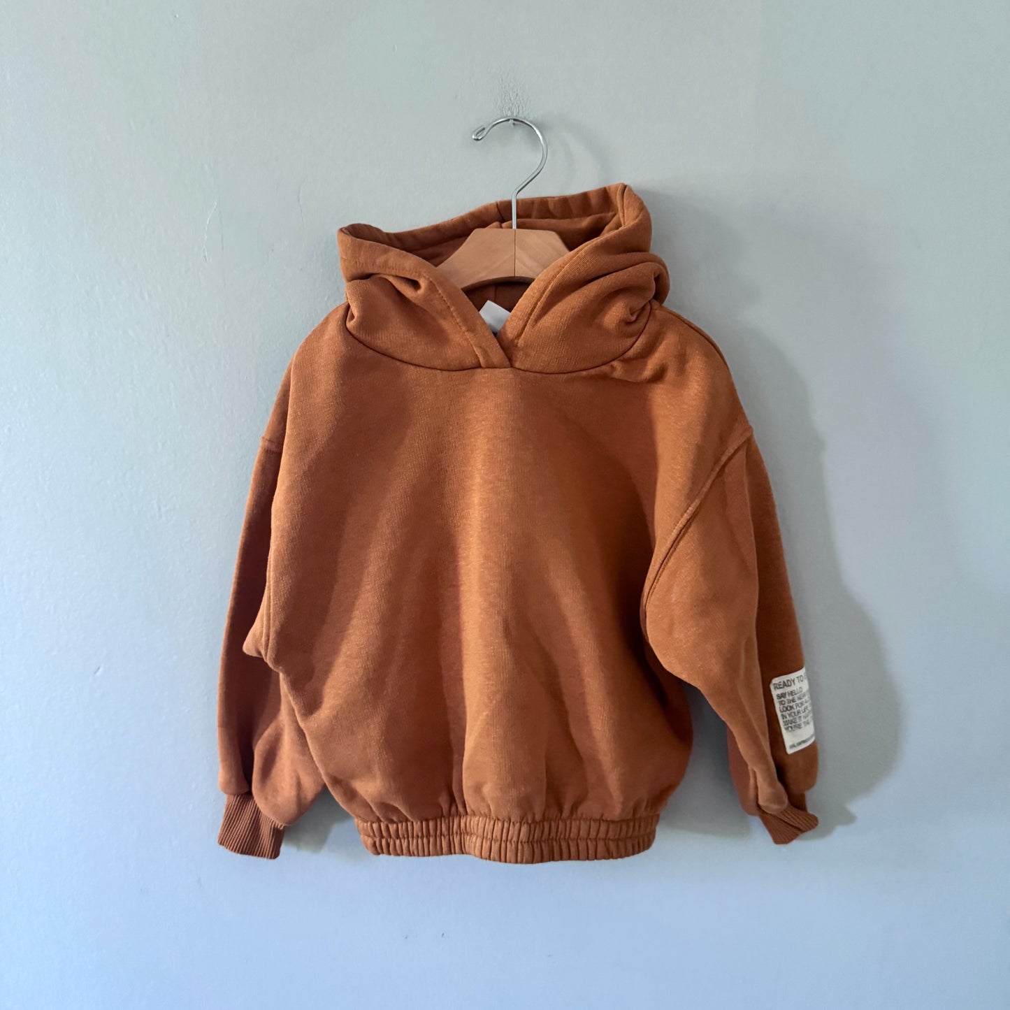 Zara / Brown hoodie / 6Y