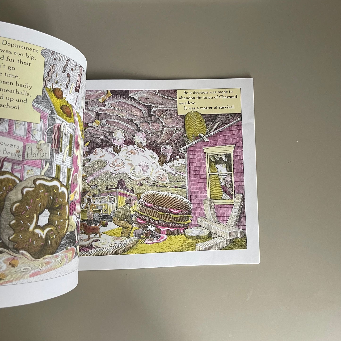 Cloudy With a Chance of Meatballs / Judi and Ron Barrett