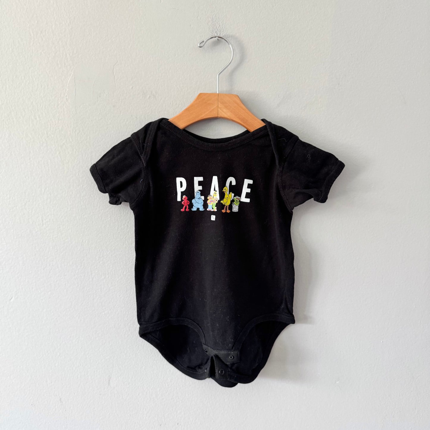 Peace Collective / Sesame street onesie / 2T