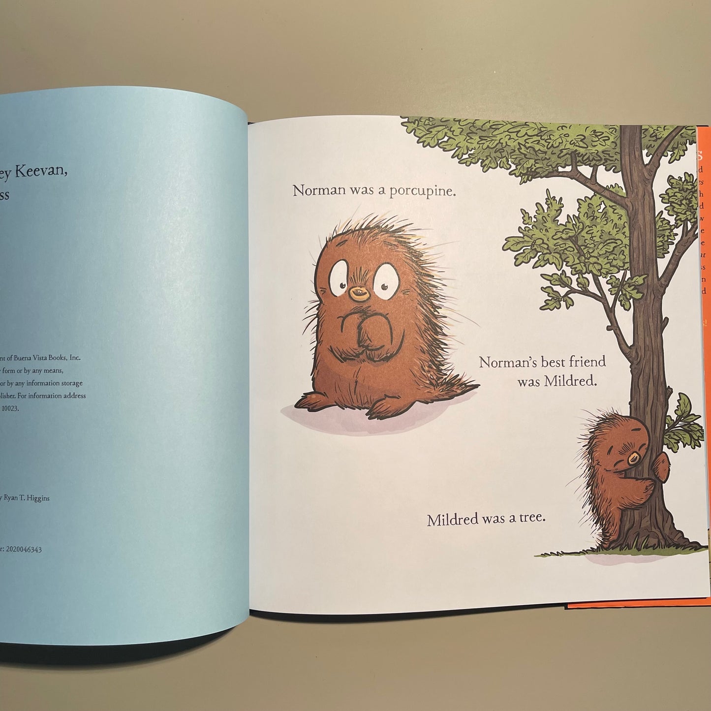 Norman Didn't Do It! / Ryan T. Higgins