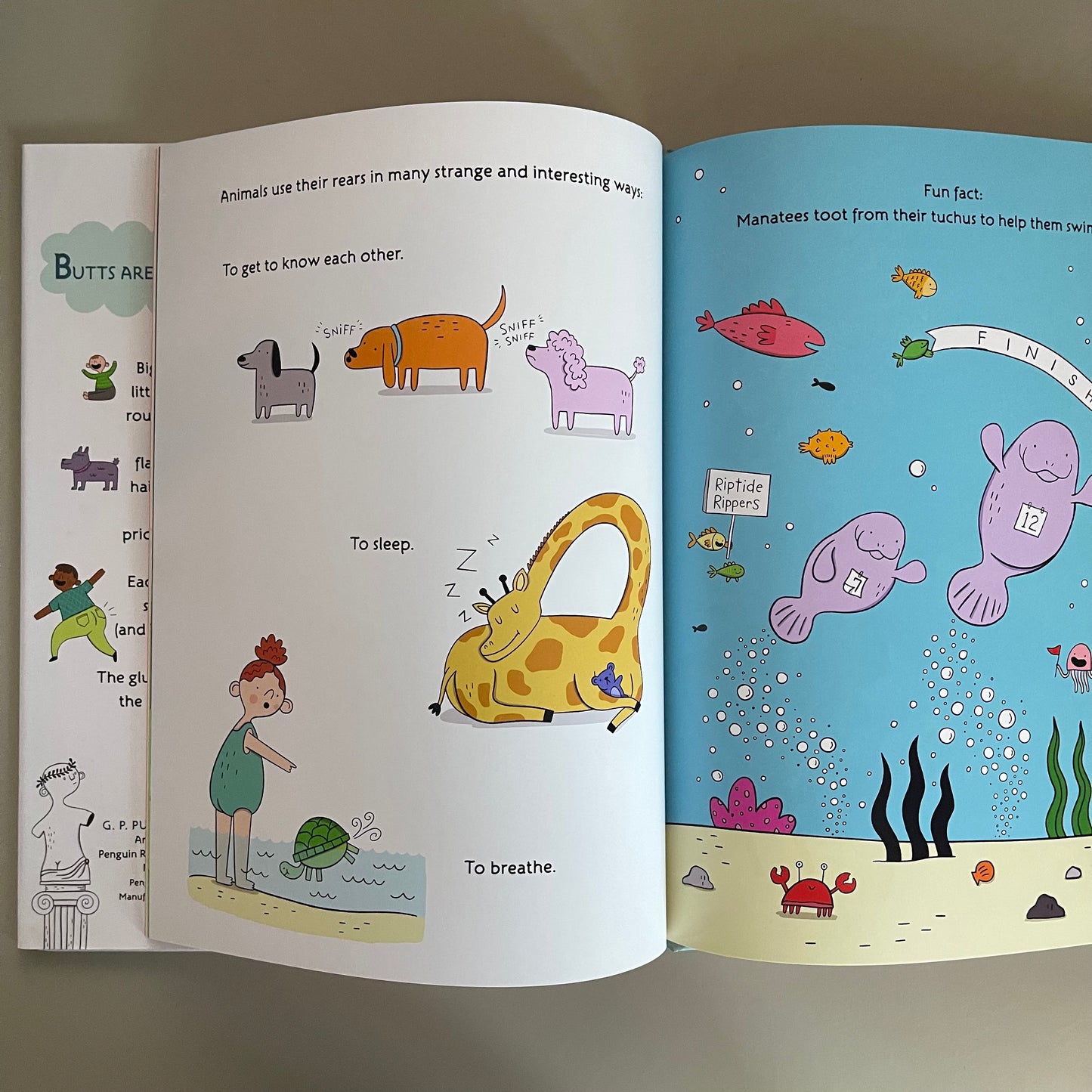 Butts Are Everywhere / Jonathan Stutzman