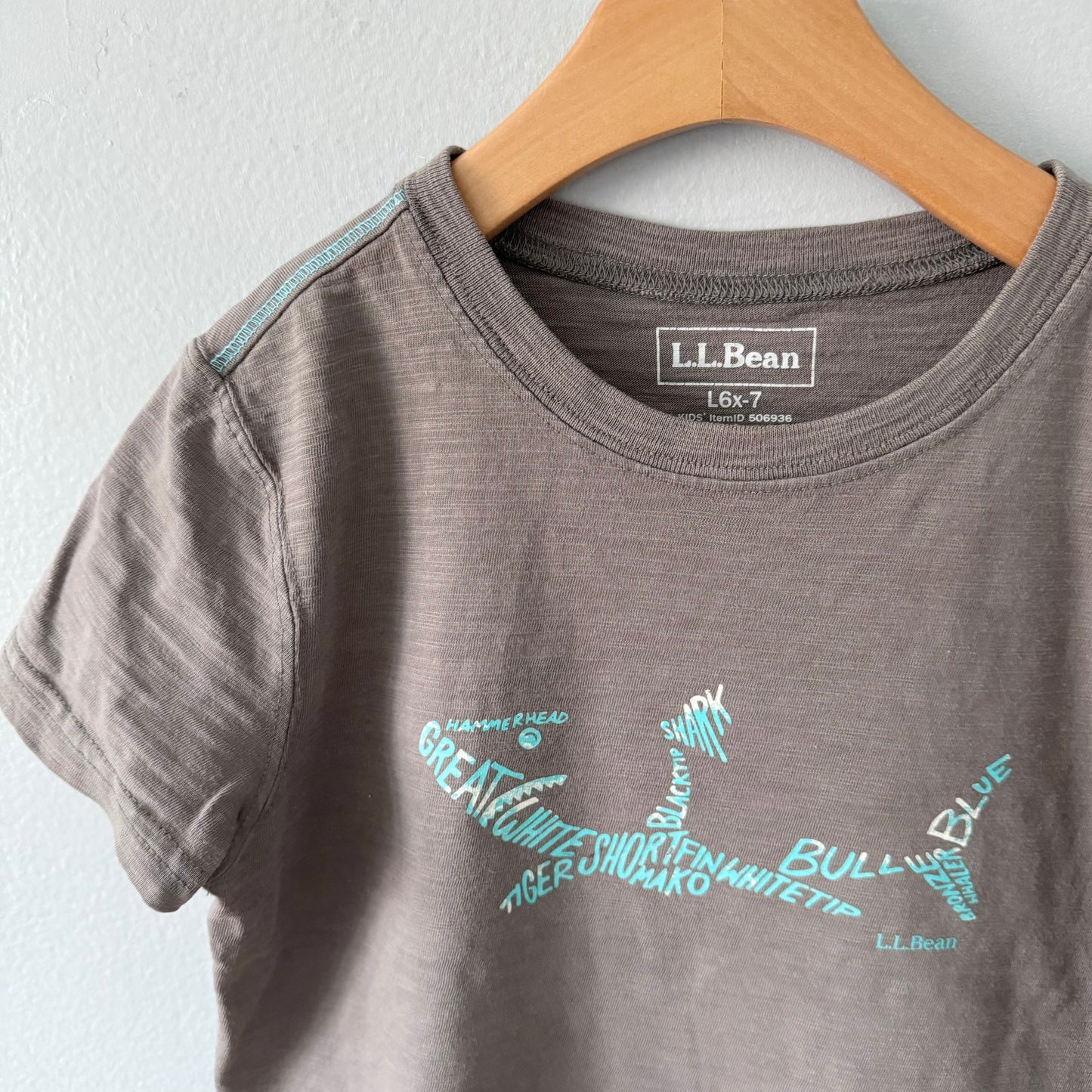 LL Bean / T-shirt (Shark) / 6-7Y