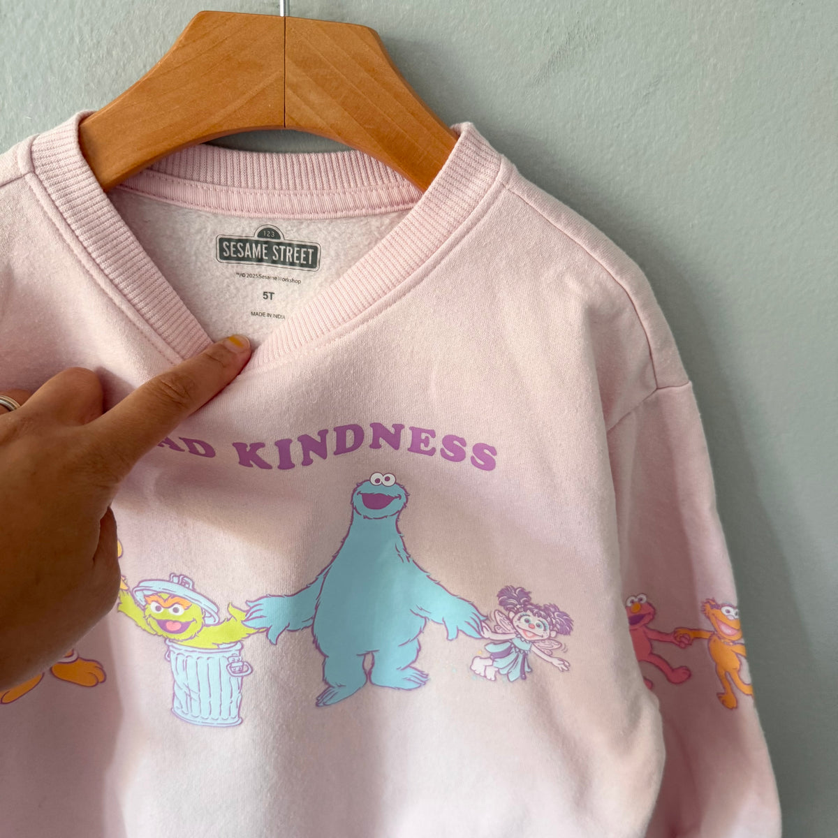 Sesame Street / Light pink sweatshirt / 5T