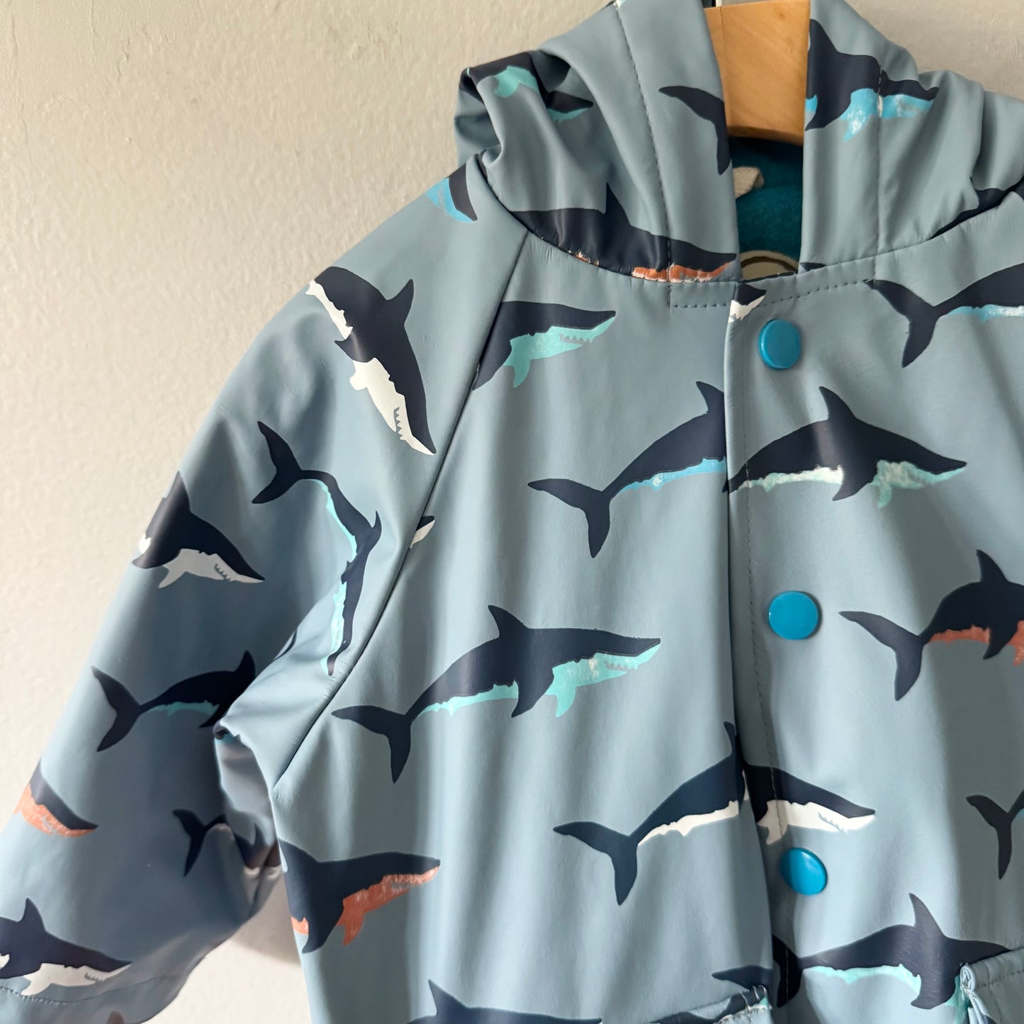 Hatley / Smokey blue x shark rain jacket / 18-24M