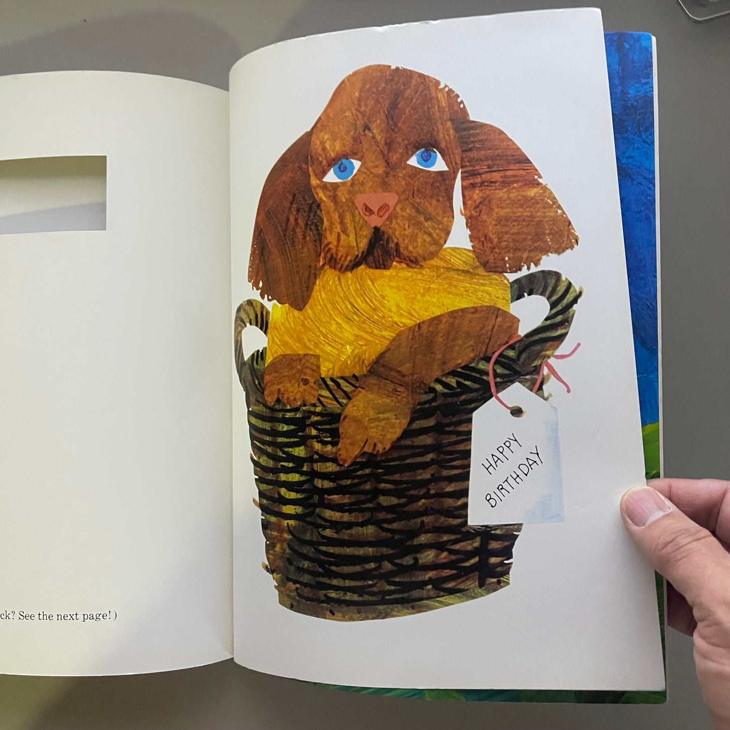 The Secret Birthday Message / Eric Carle