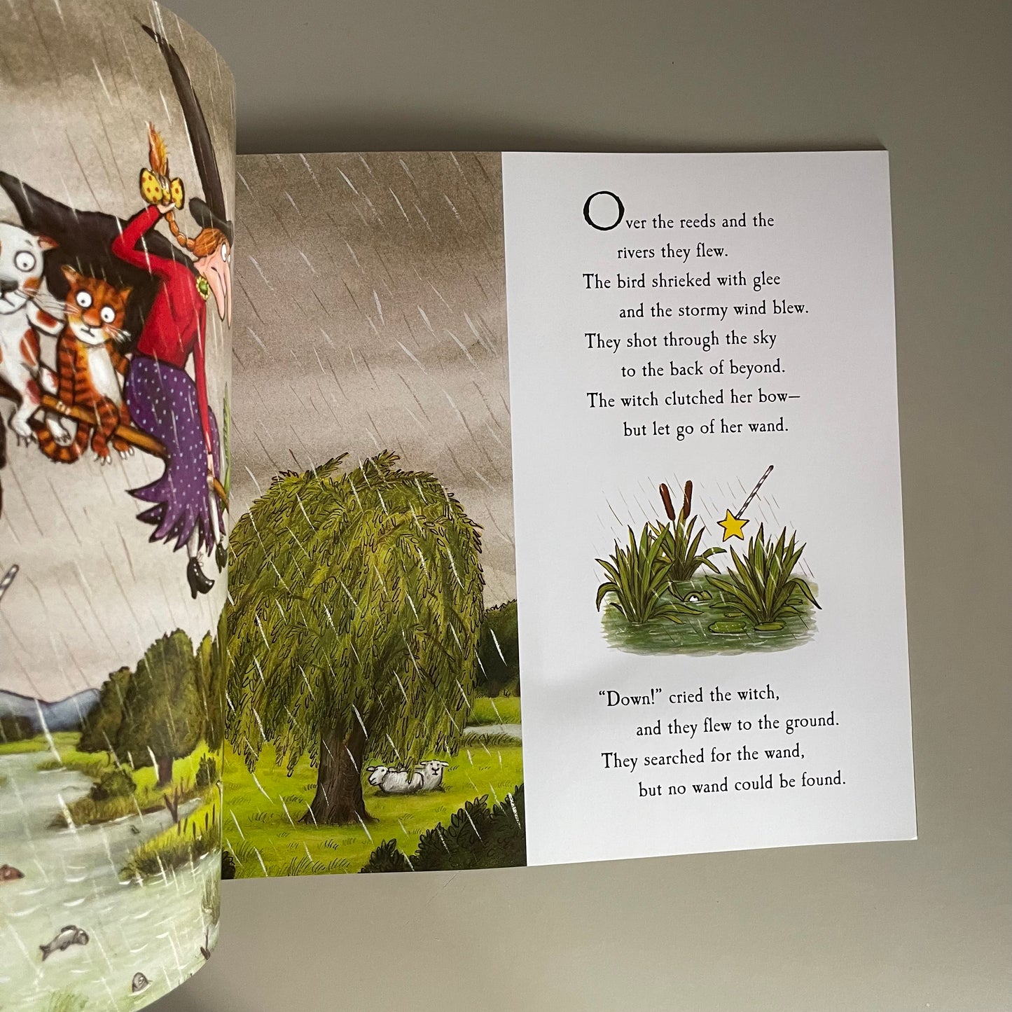 [Brand New] Room on the Broom (Special Edition) / Julia Donaldson & Axel Scheffler