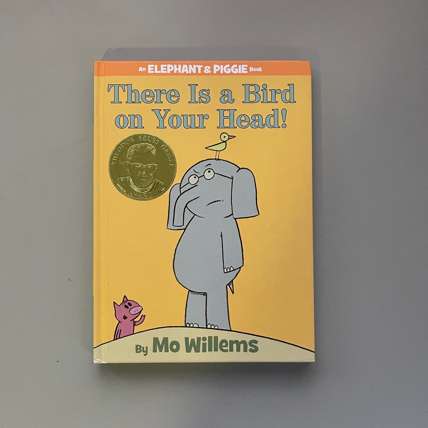 There Is a Bird on Your Head! / Mo Willems