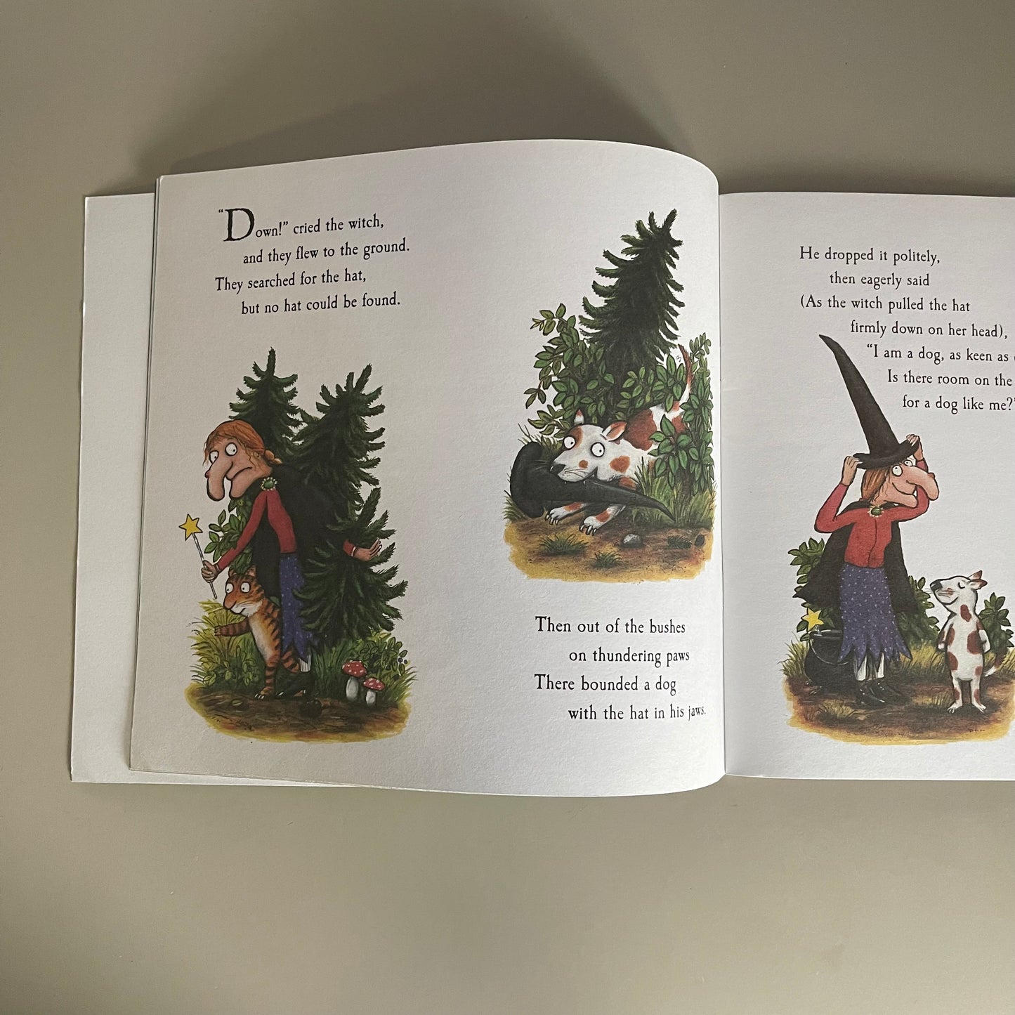Room on the Broom / Julia Donaldson & Axel Scheffler