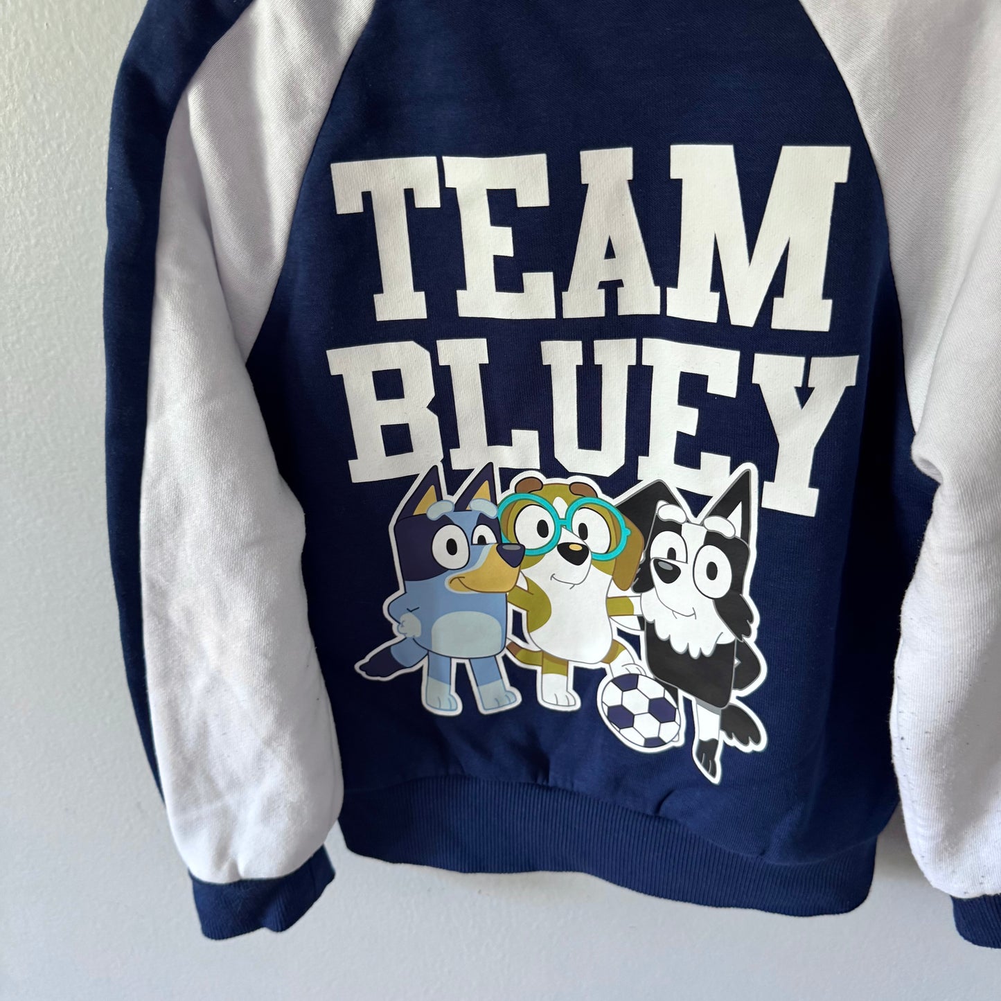 Bluey / Zip up hoodie / 4-5Y