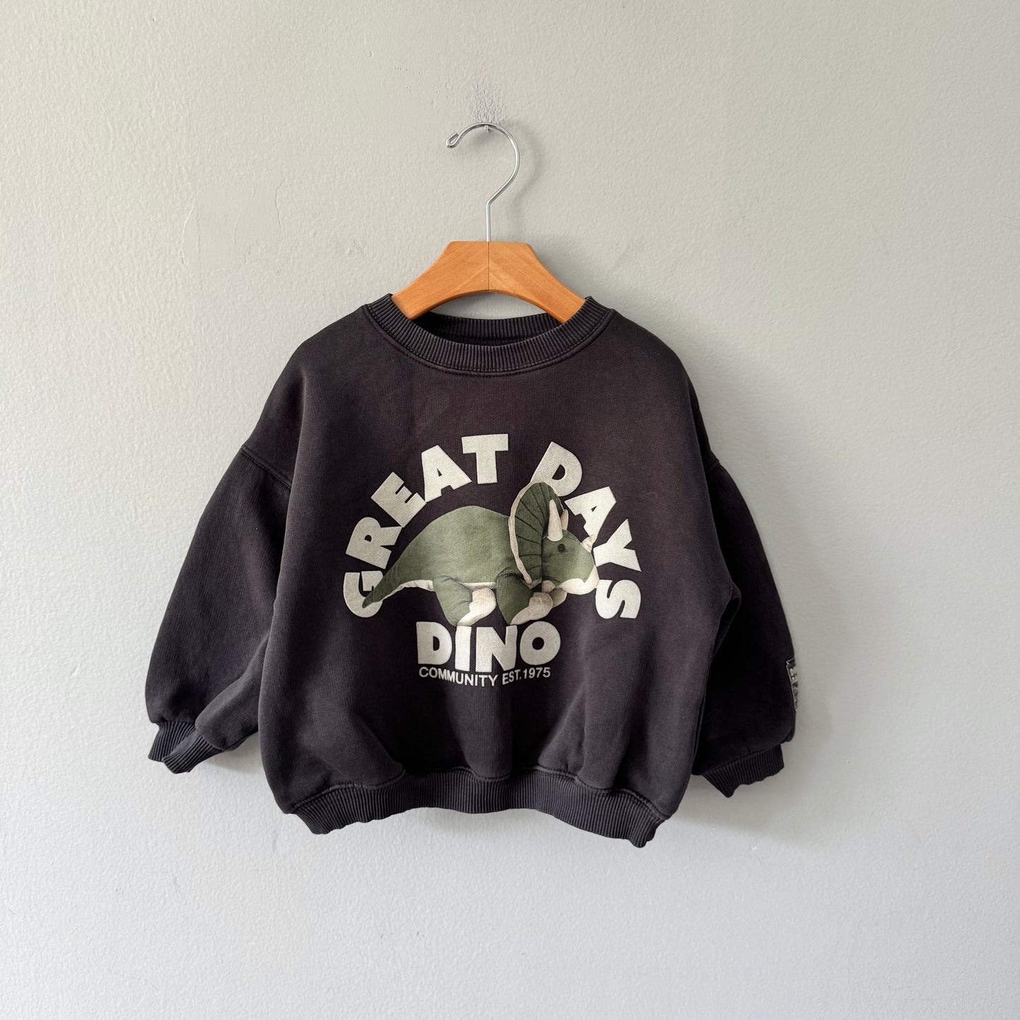 Zara / Great Days Dino / 4Y