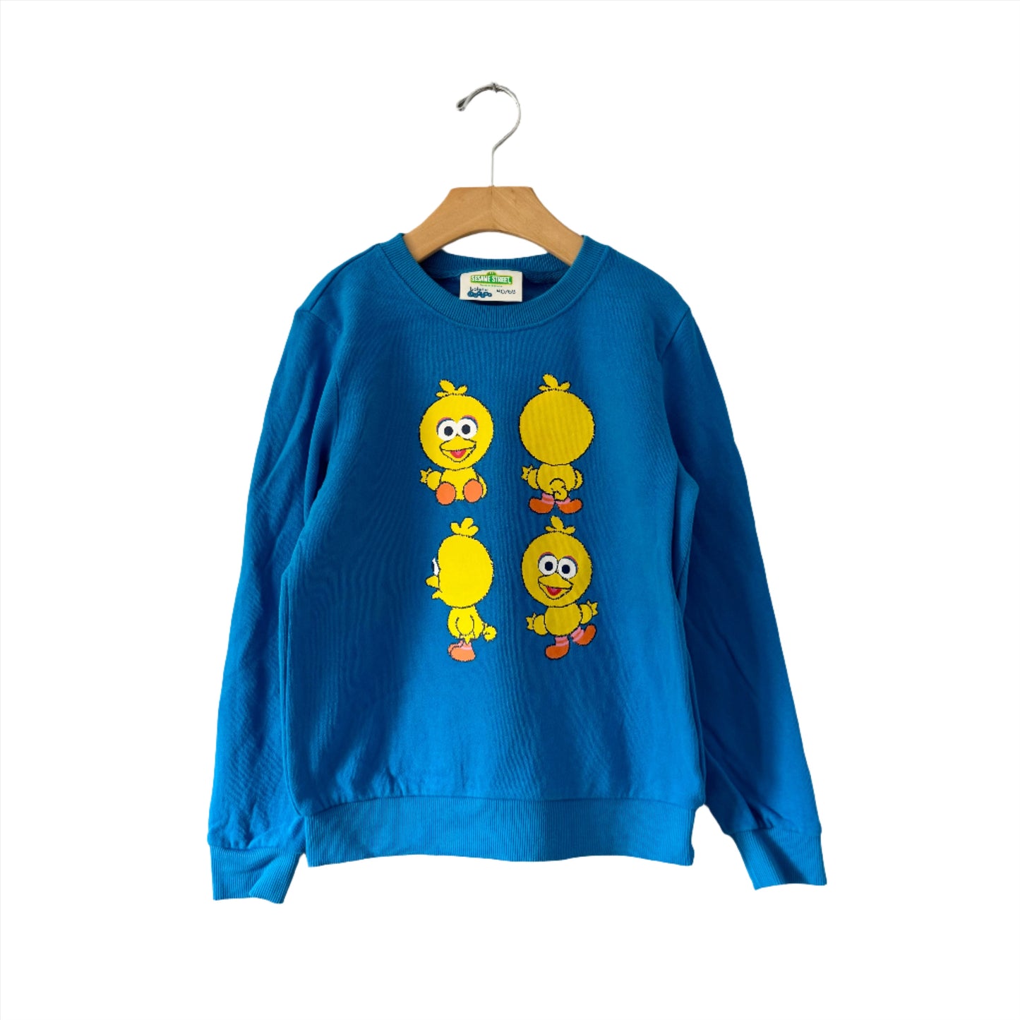 Sesame Street / Big Bird sweatshirt / 8Y