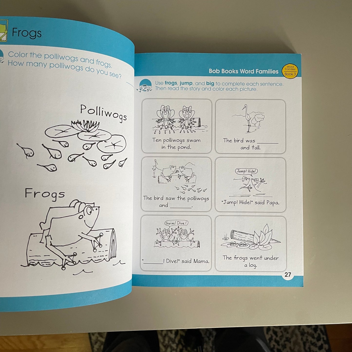 BOB Books - K-1 Developing Readers Workbook