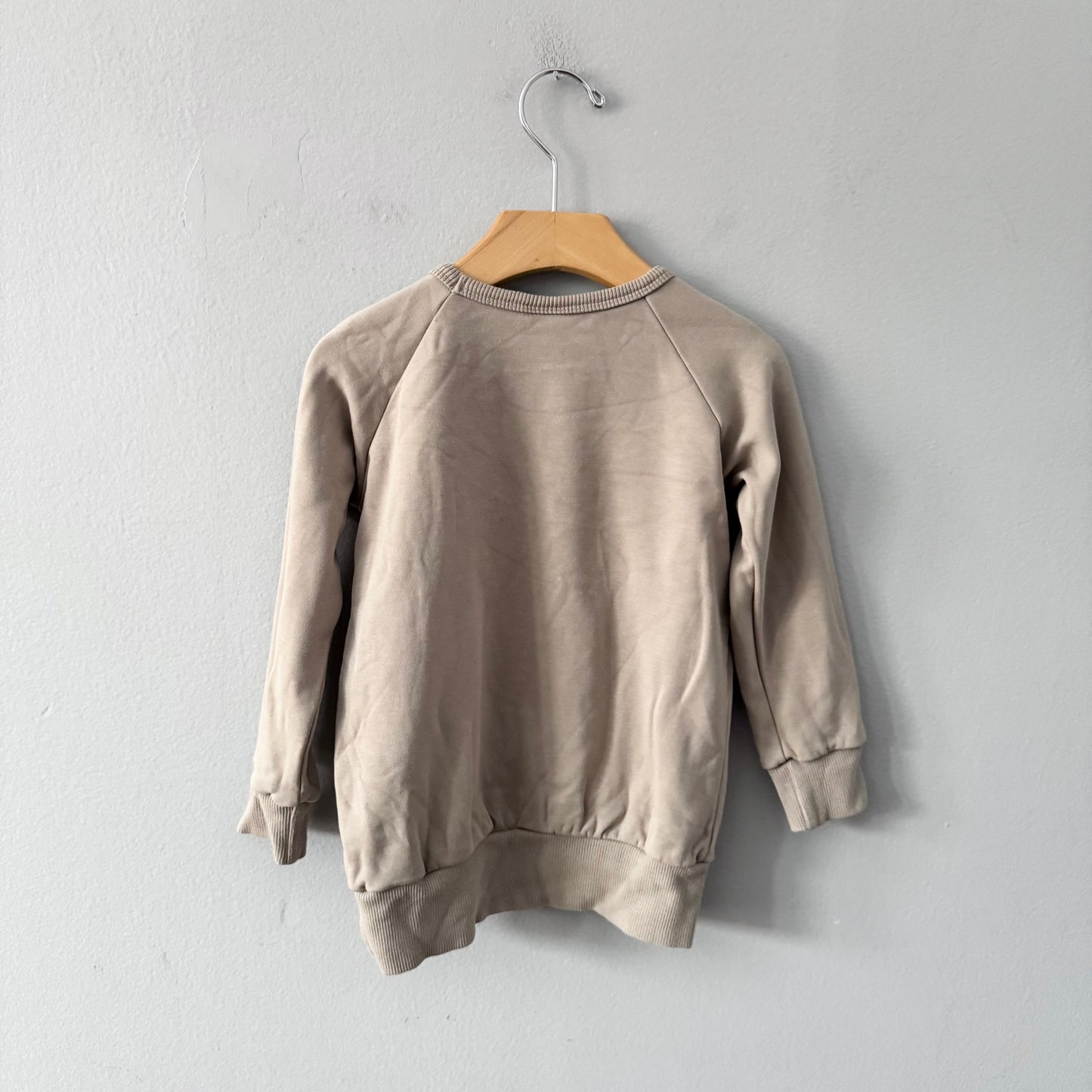 Little & Lively	/ Grey mushroom fleece lined crew top / 3-4T