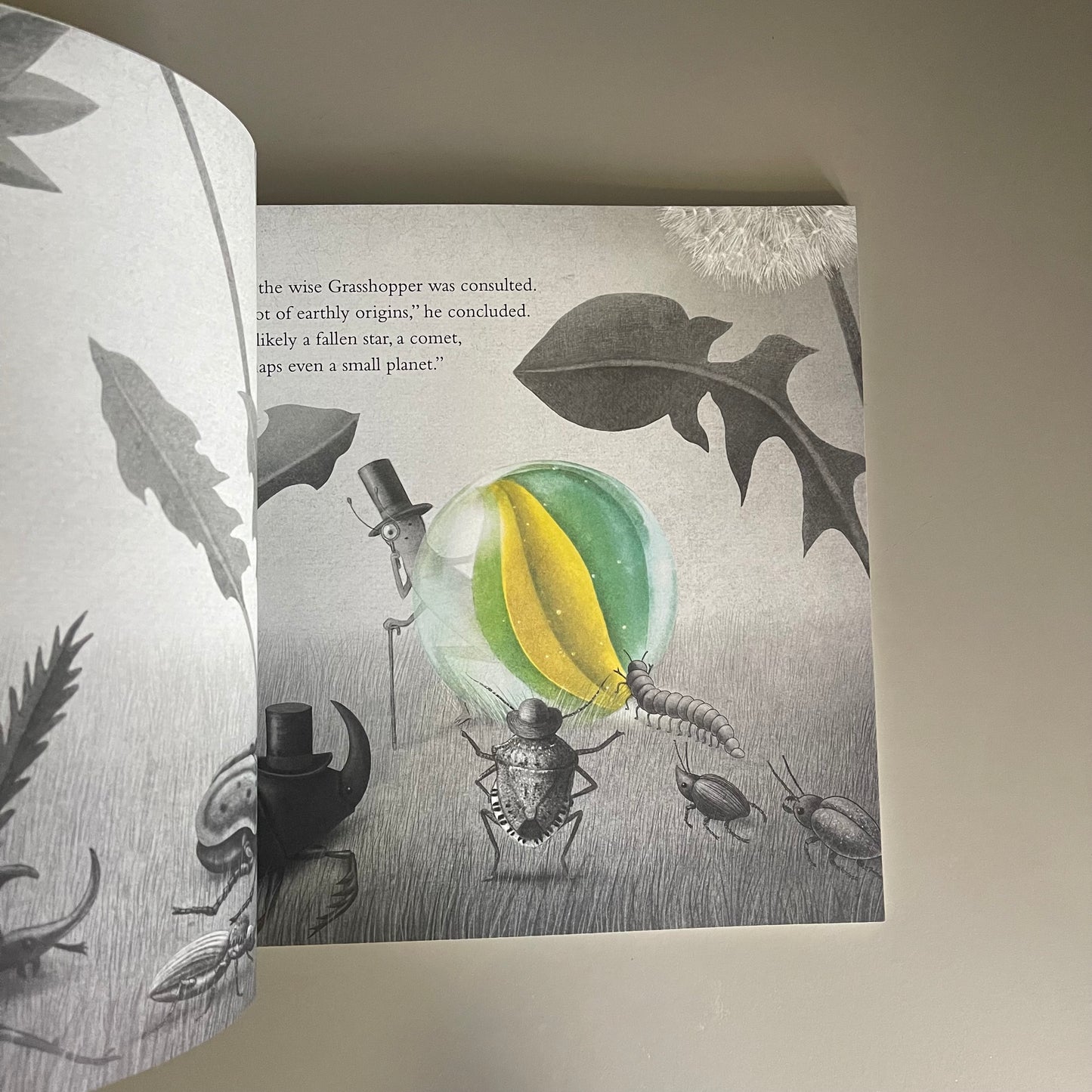 [Brand New] It Fell From The Sky / The Fan Brothers