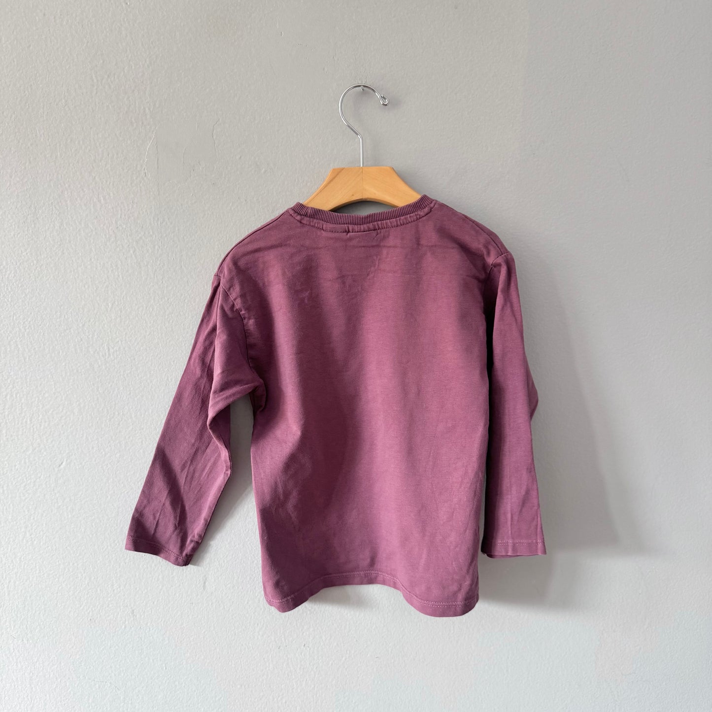 Zara / Brown long sleeve T-shirt / 4-5Y