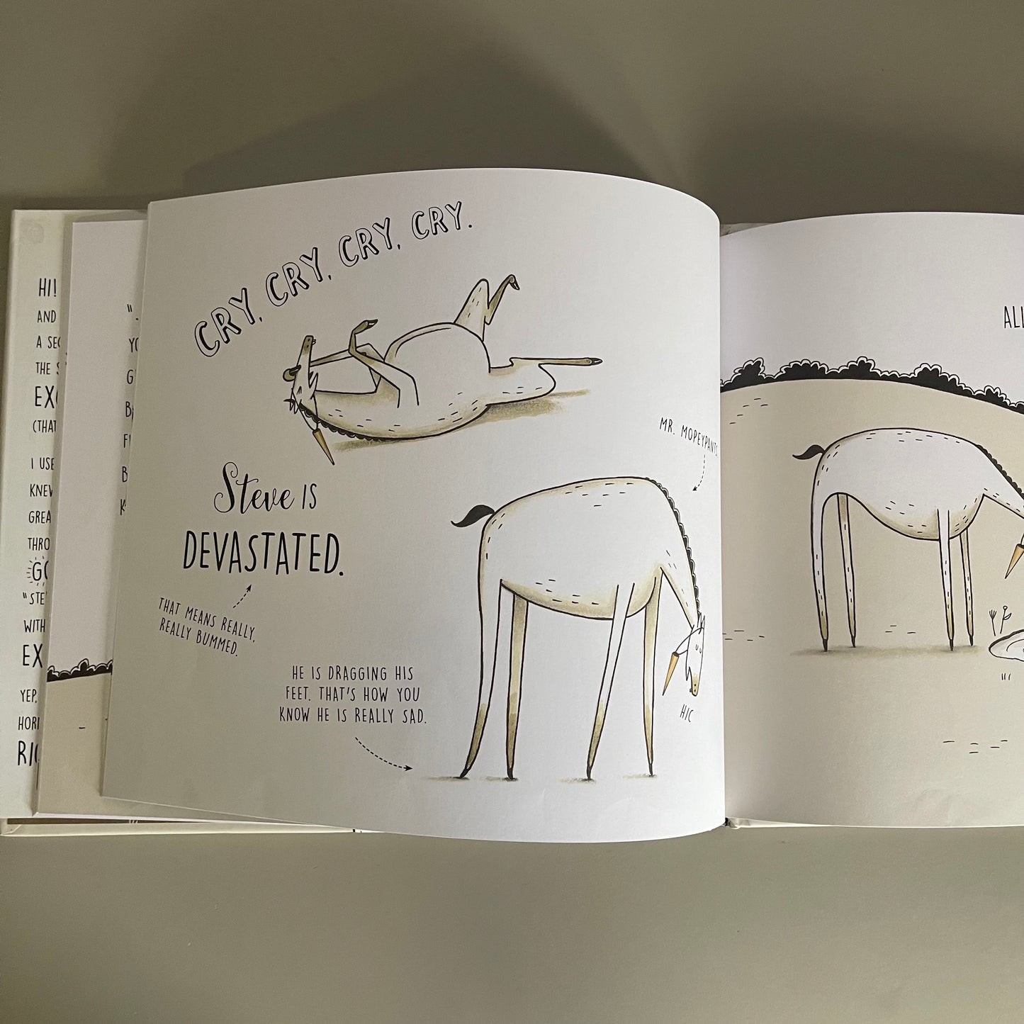 A Horse Named Steve / Kelly Collier