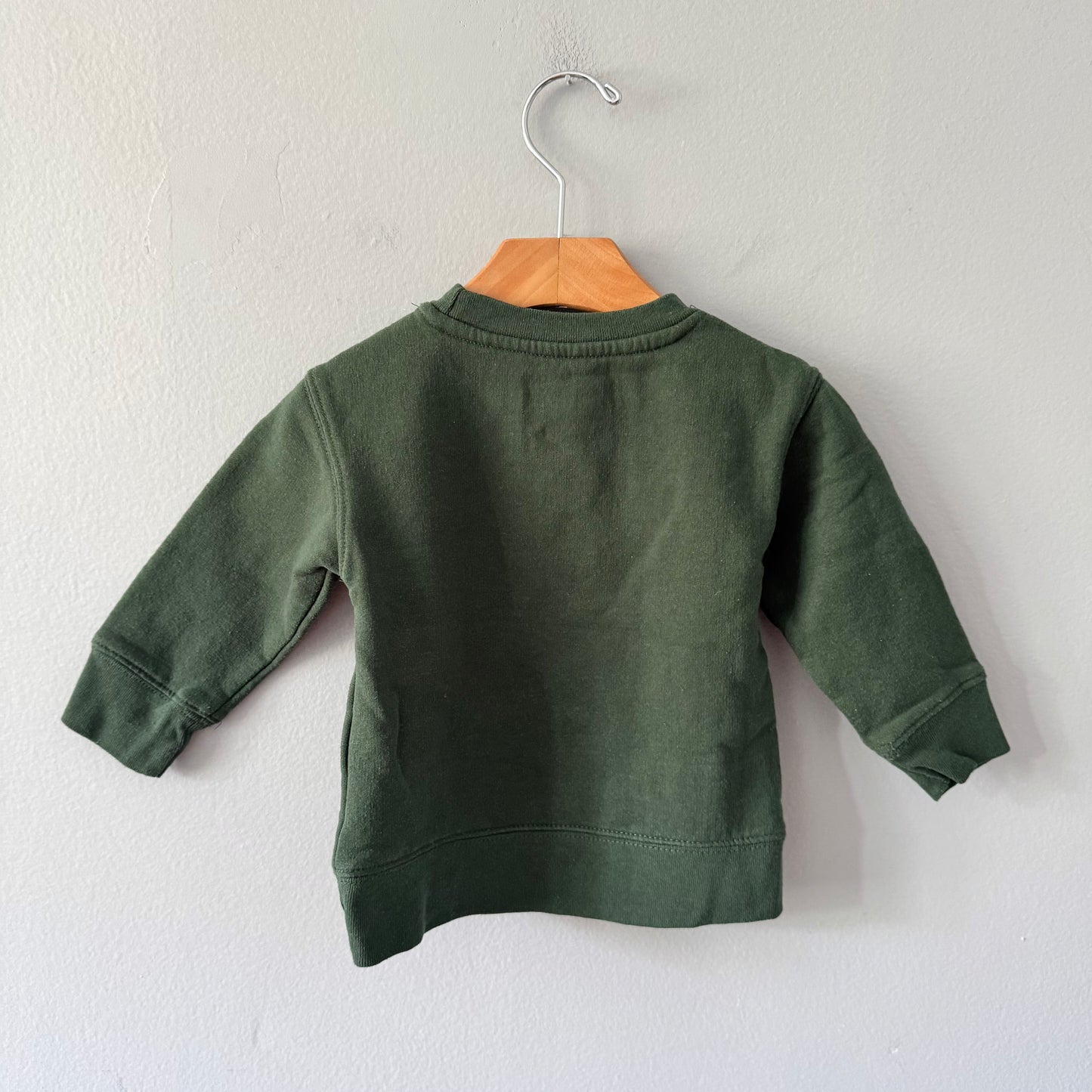 Peanuts / Snoopy green sweatshirt / 18M