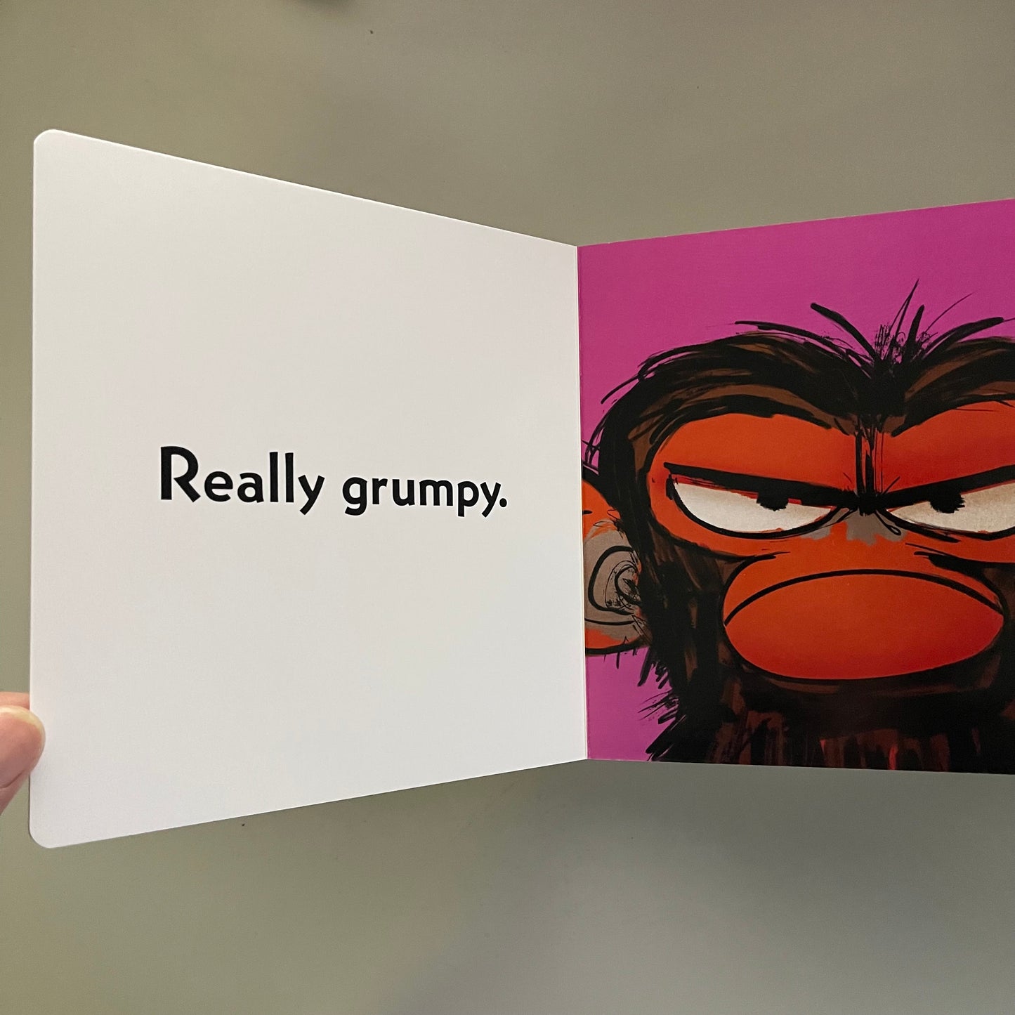 Grump Monkey's Little Book of Grumpiness / Suzanne Lang