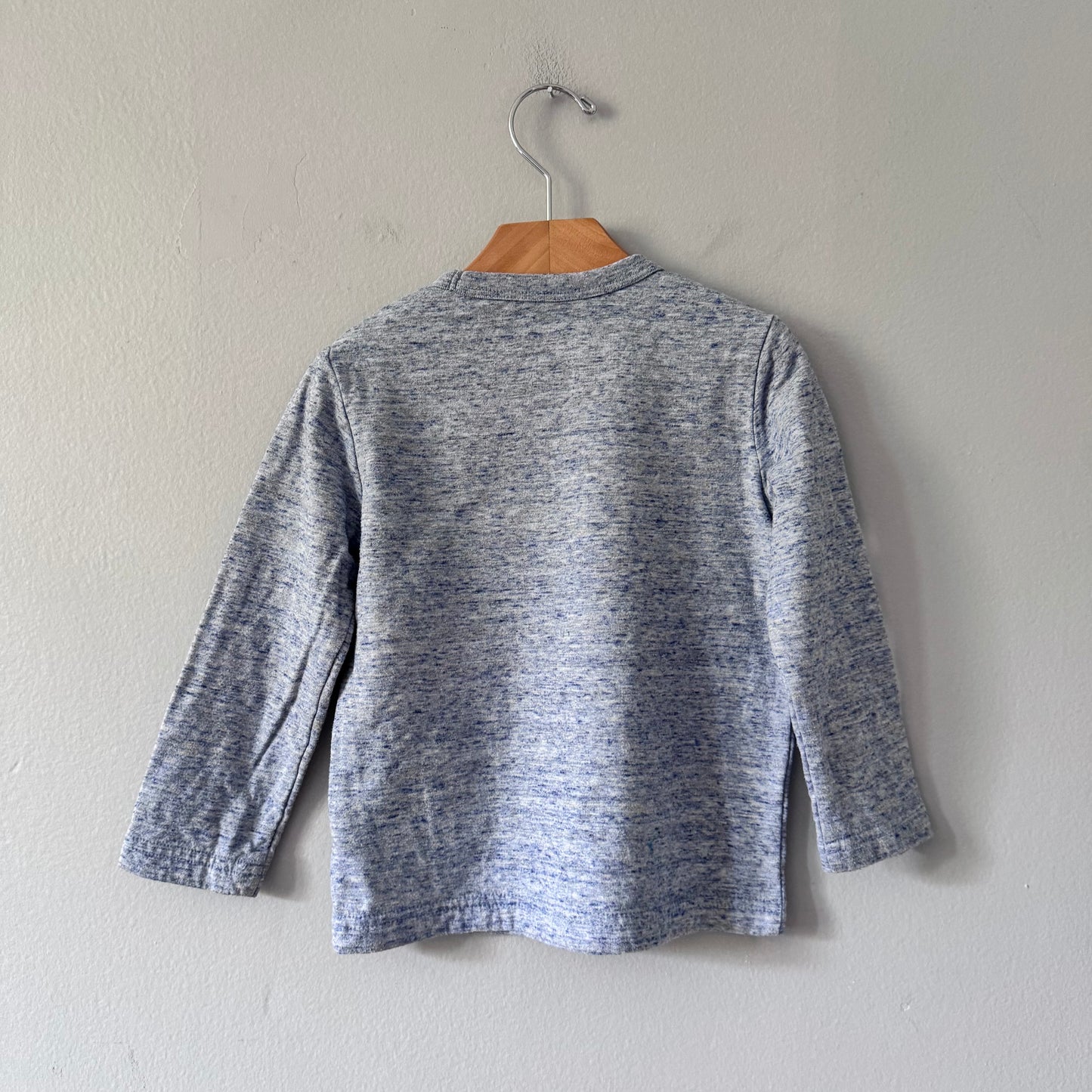 Gap / Blue long sleeve / 3Y
