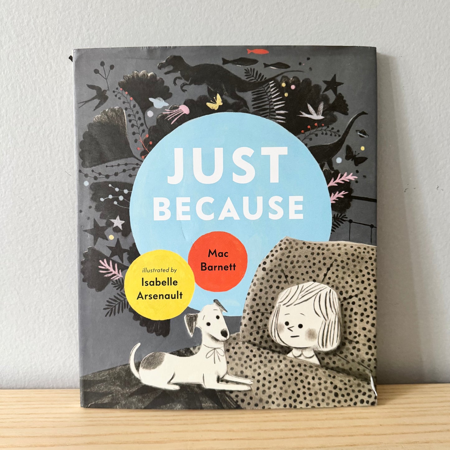 Just Because / Mac Barnett