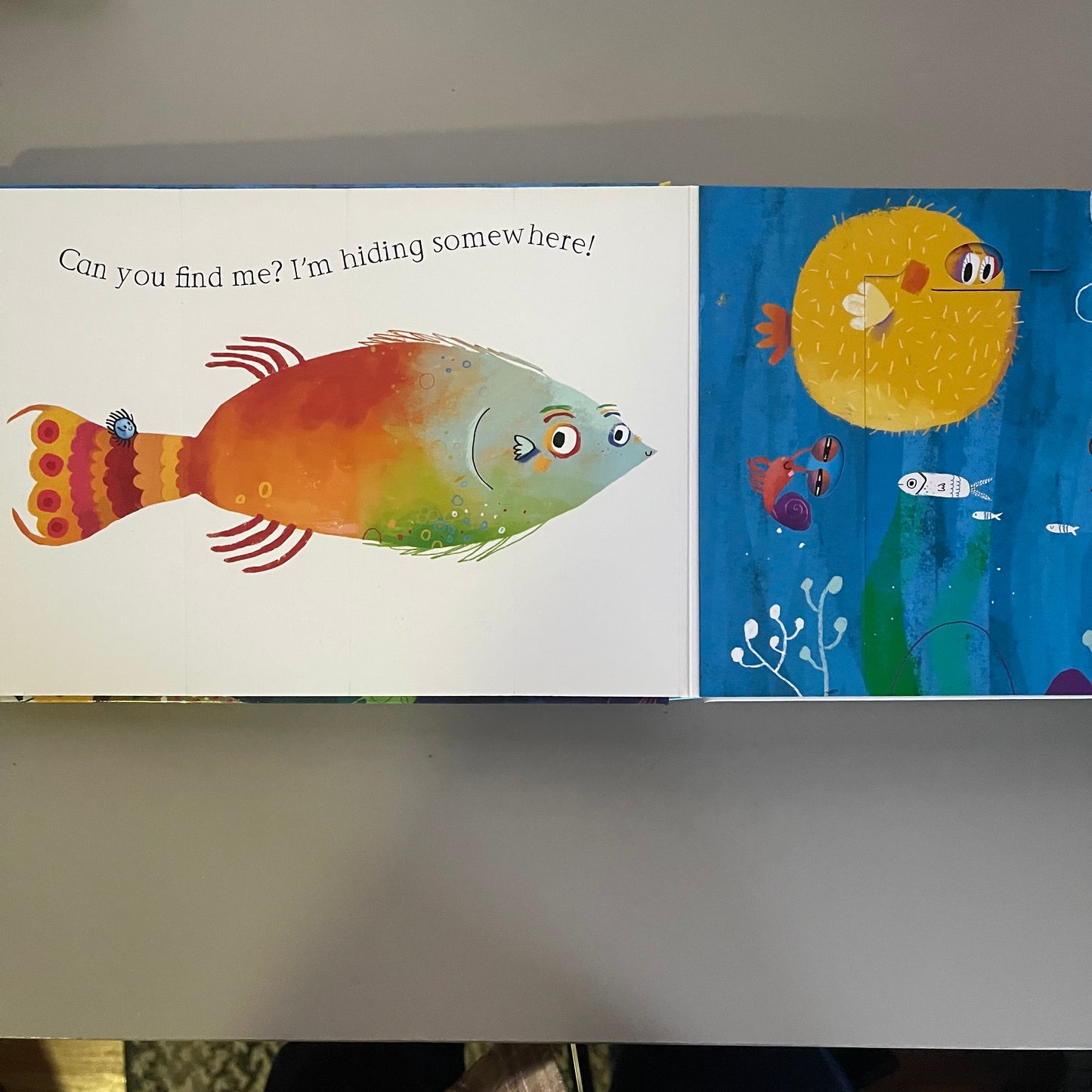 Flippy Floppy Lift-the-flap fun! - Ocean Animals