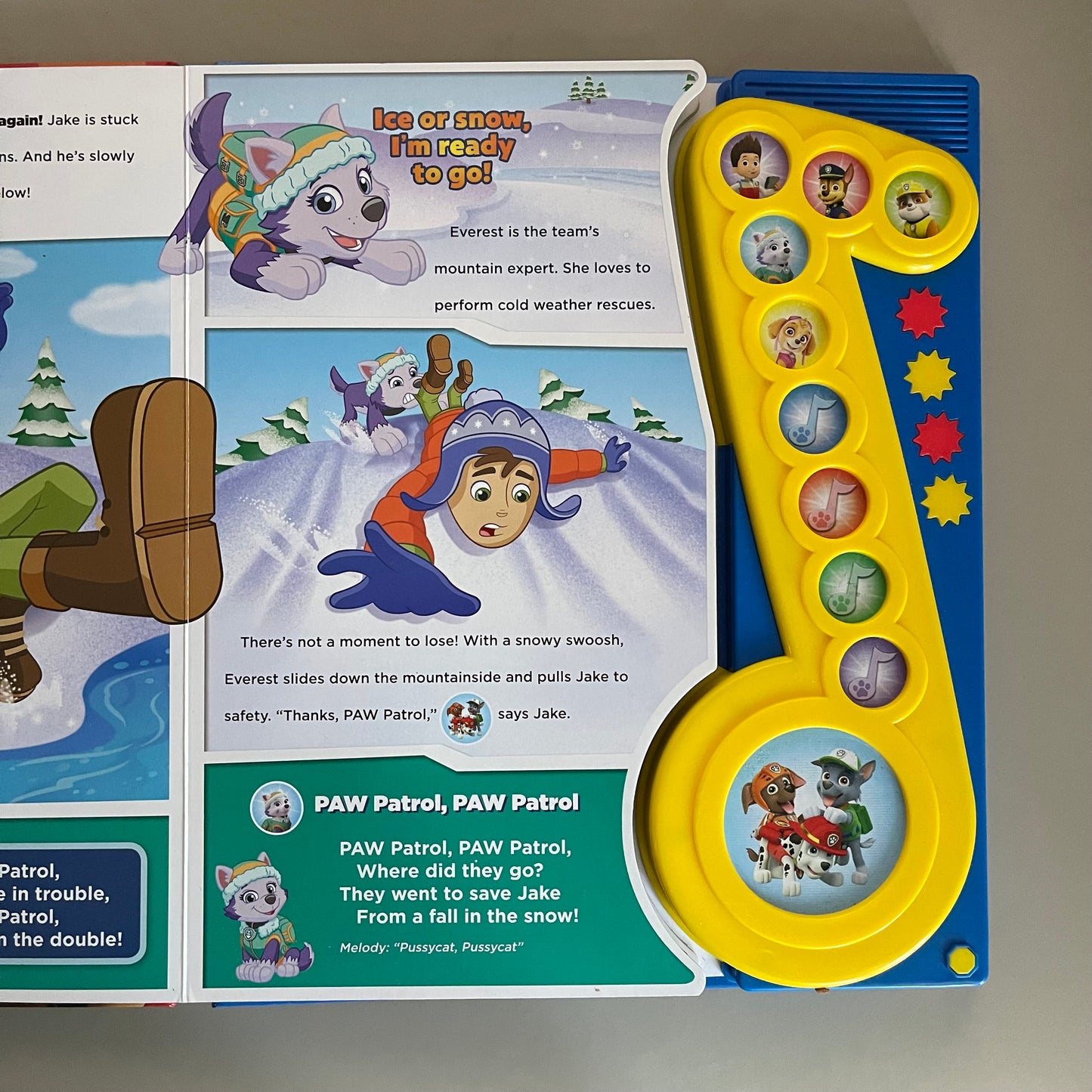 Paw Patrol - Ruff Ruff Rhythms (Sound Book)