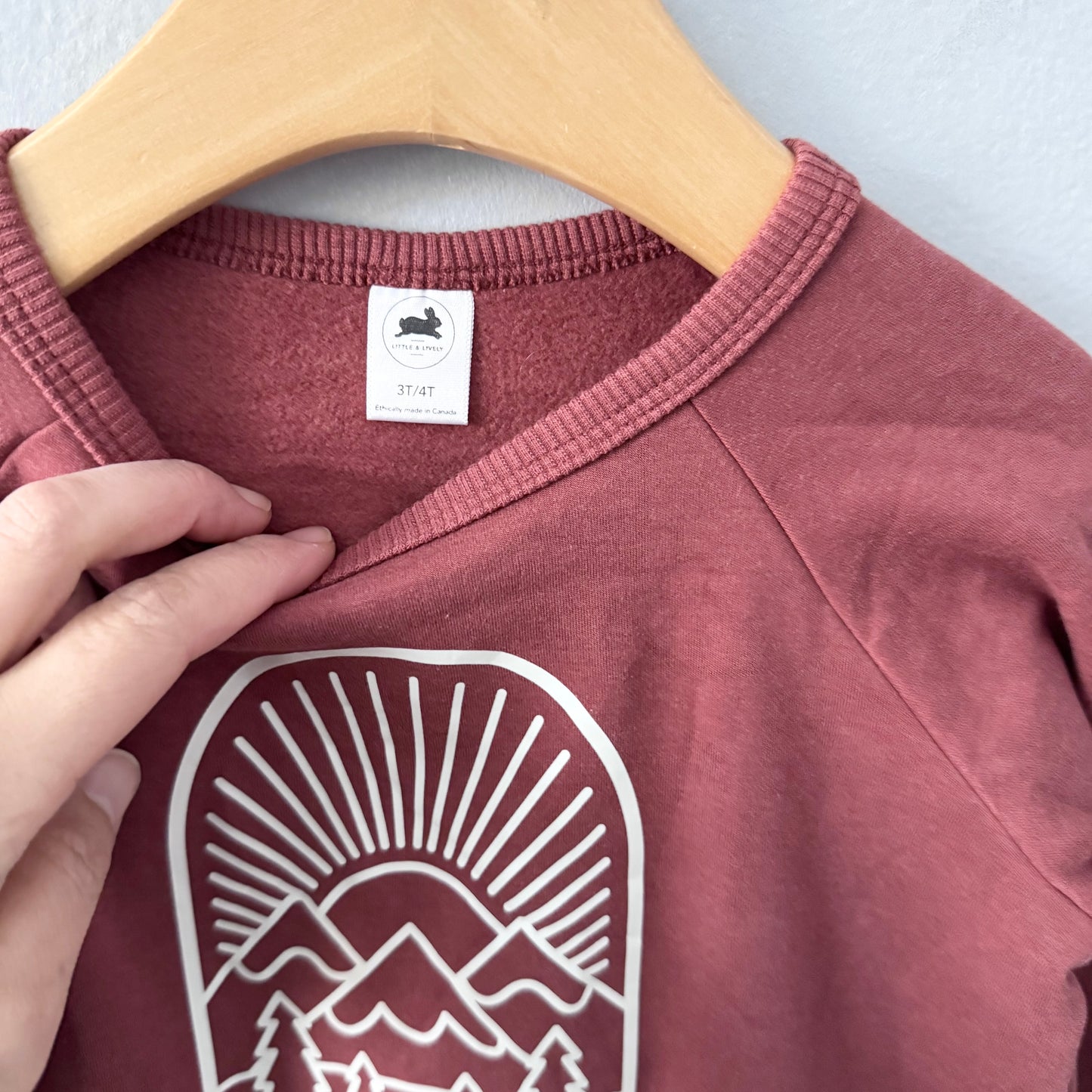 Little & Lively	/ Brown fleece lined crew top / 3-4T