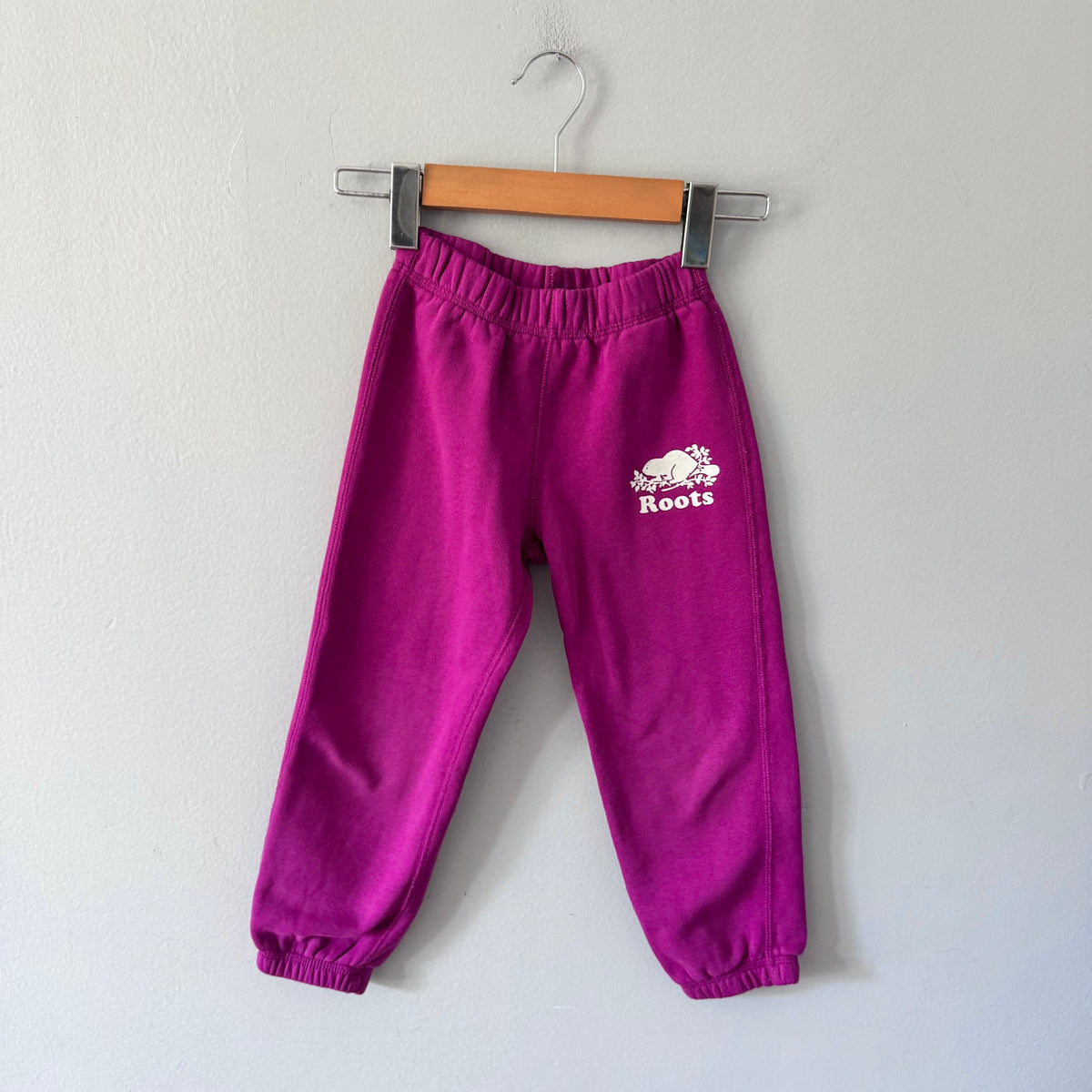 Roots / Purple sweatpants / 5T
