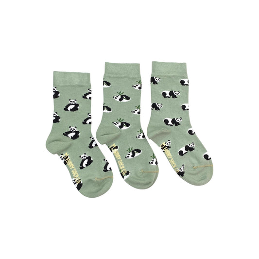 Friday Sock Co. / Kid’s Socks | Panda | Small (Age 2-4)