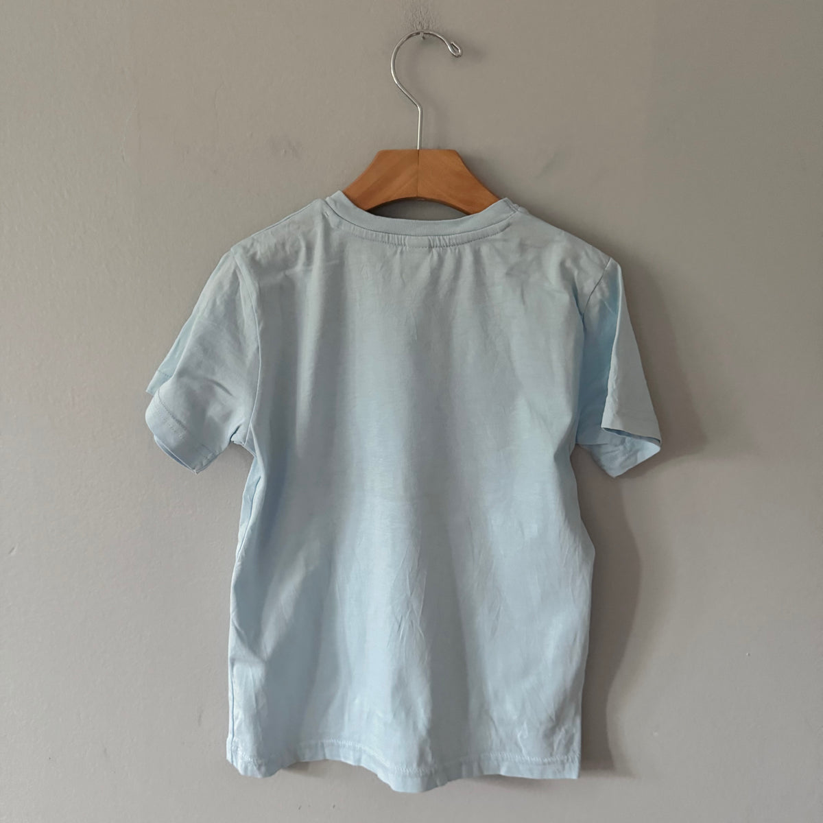 Earth Positive / Light blue T-shirt / 5-6Y