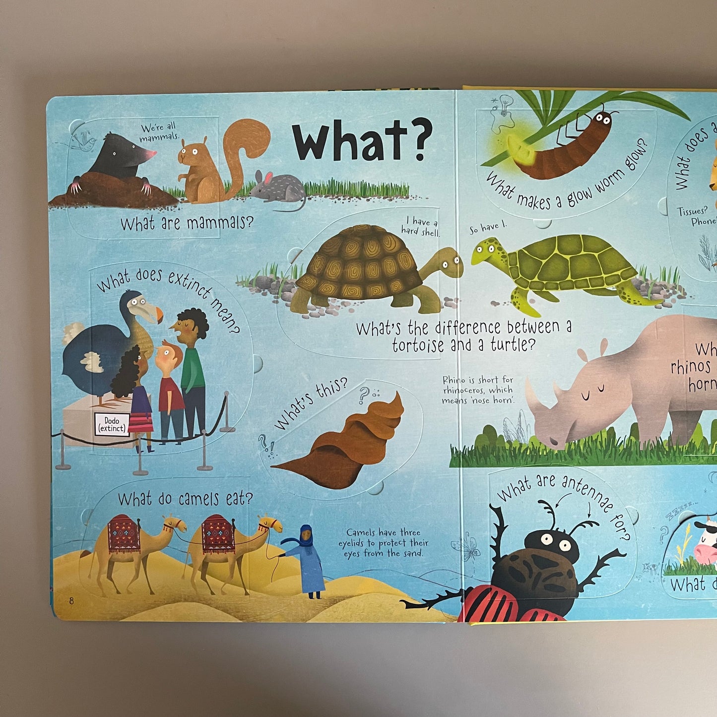 [Brand New] Usborne Lift-the-flap: Questions and Answers - about Animals