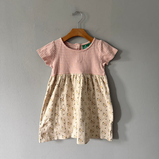 Little Green Radicals / Robe rayée à fleurs / 4-5 ans