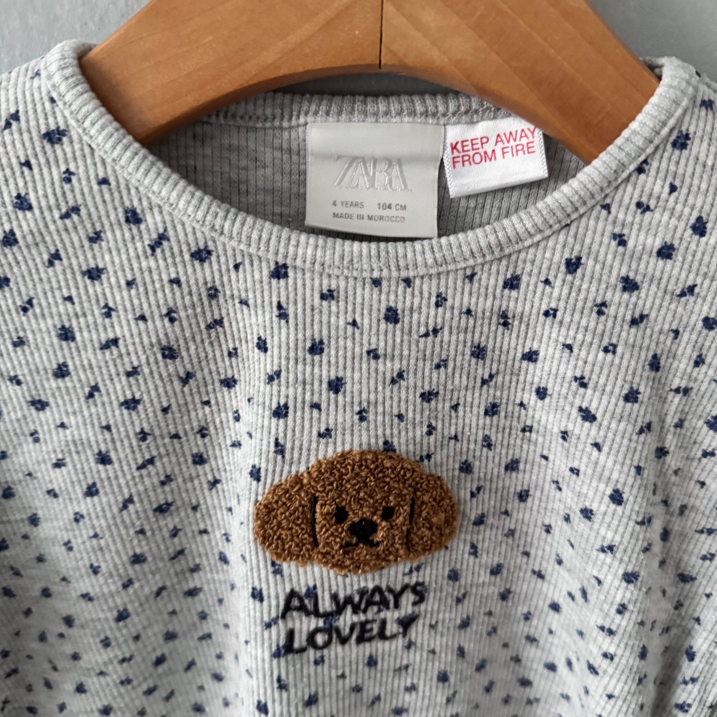 Zara / Always lovely light grey long sleeve / 4Y