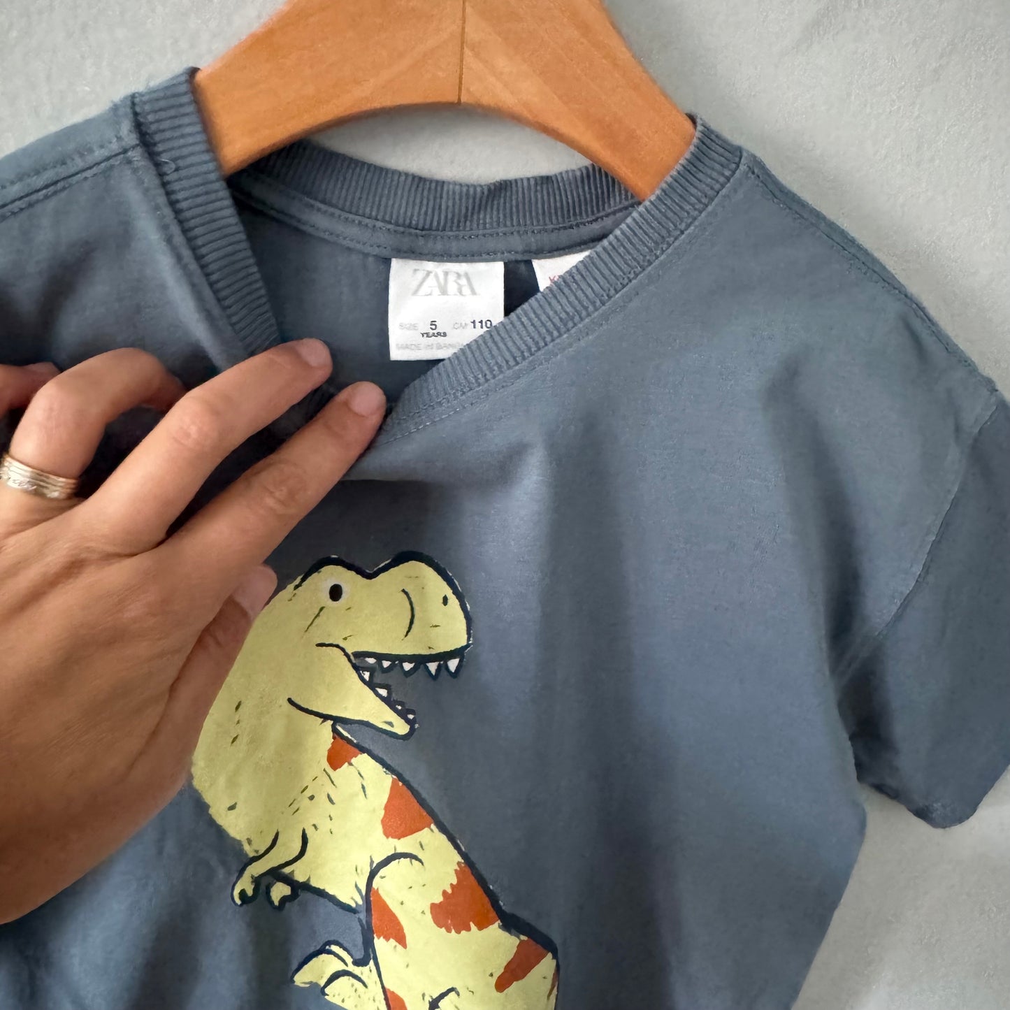 Zara / Smokey blue x dinosaur T-shirt / 5Y