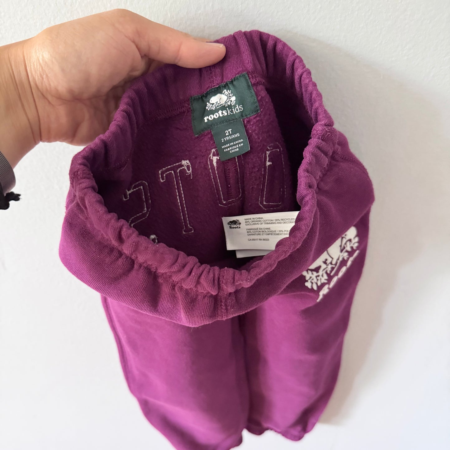Roots / Purple sweatpants / 2T