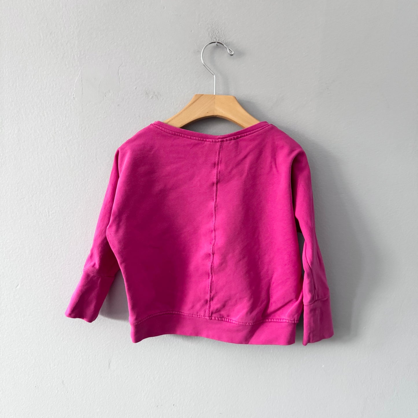 Little Monster / Pink sweatshirt / 2-3Y