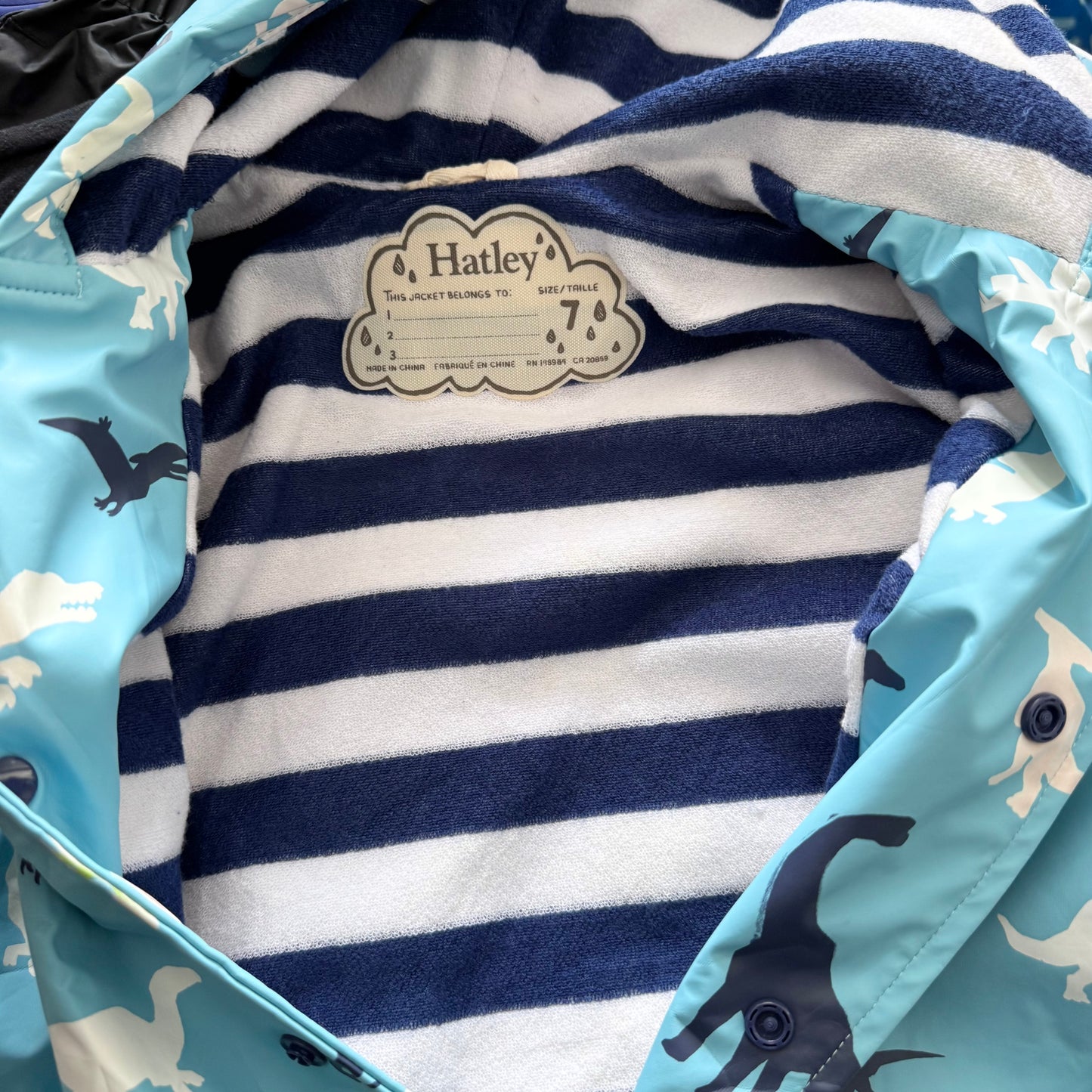 Hatley / Imperméable bleu clair x dinosaure / 7 ans