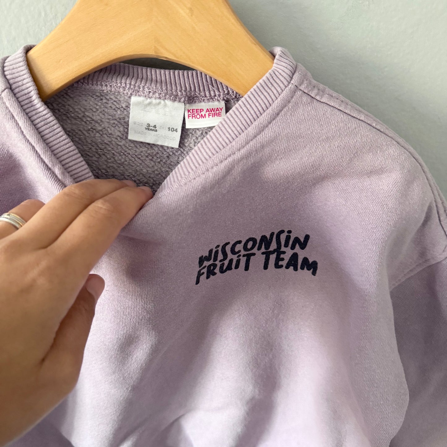 Zara / Purple sweatshirt / 3-4Y