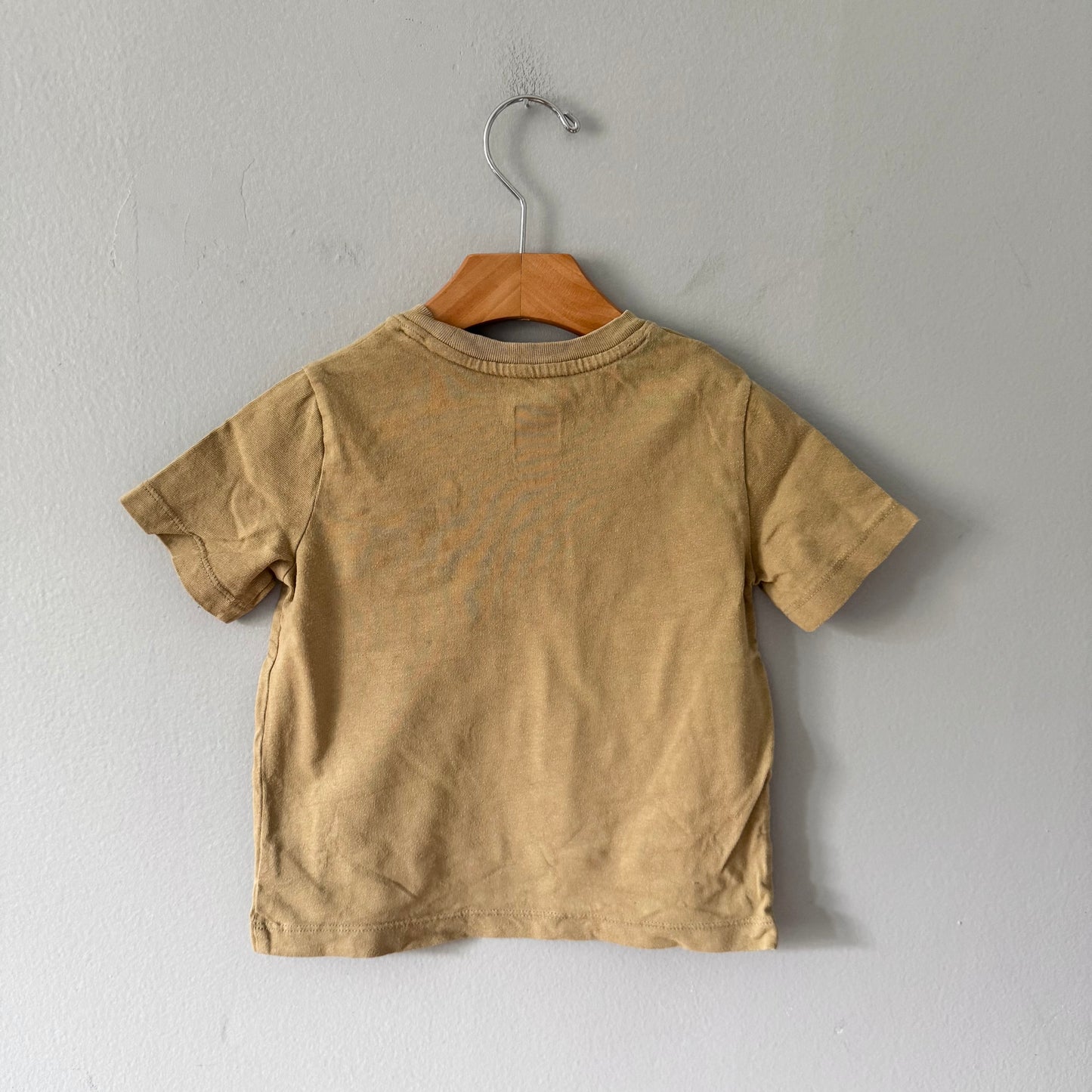 Gap / Beige T-shirt / 3Y