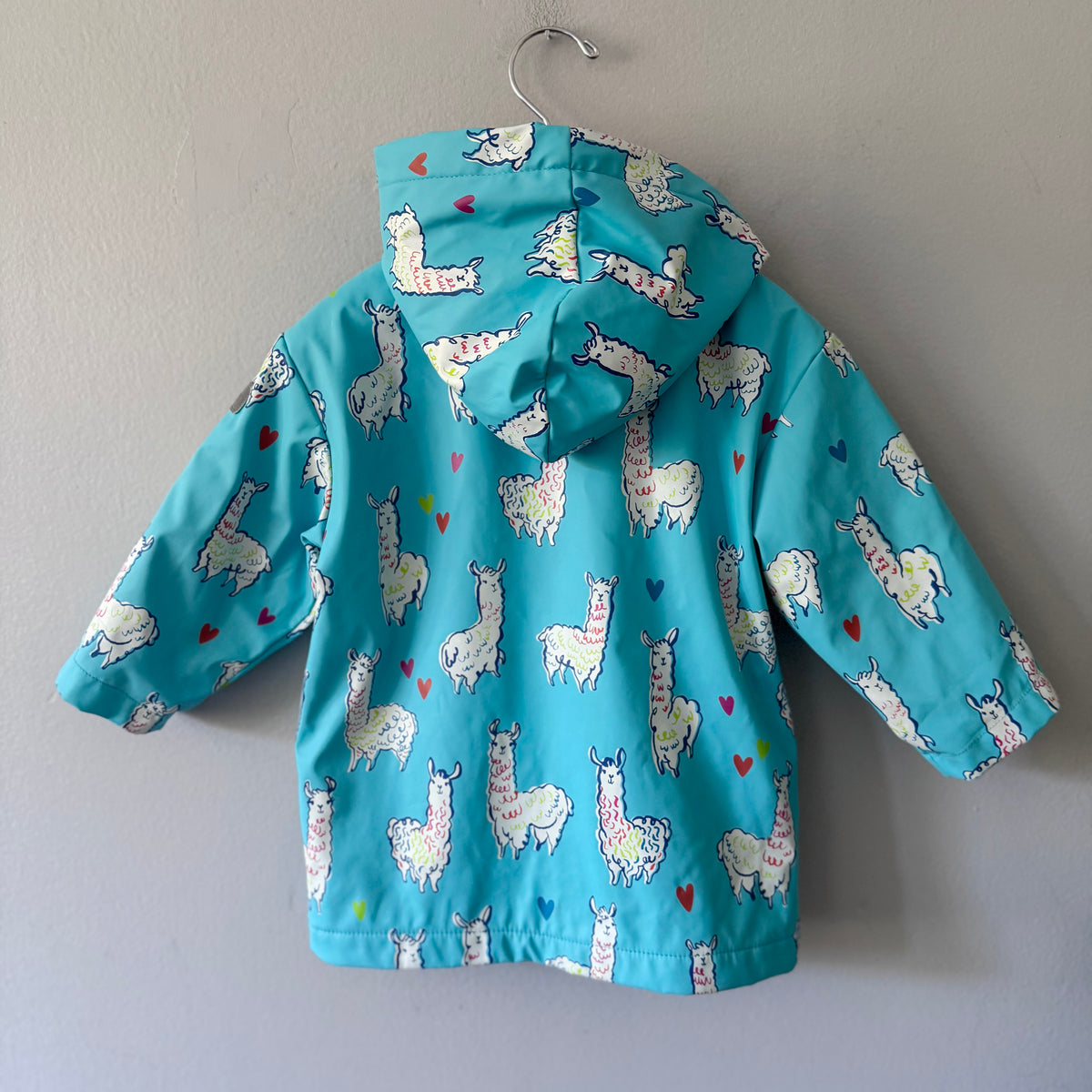 Hatley / Blue x alpaca rain jacket / 2Y